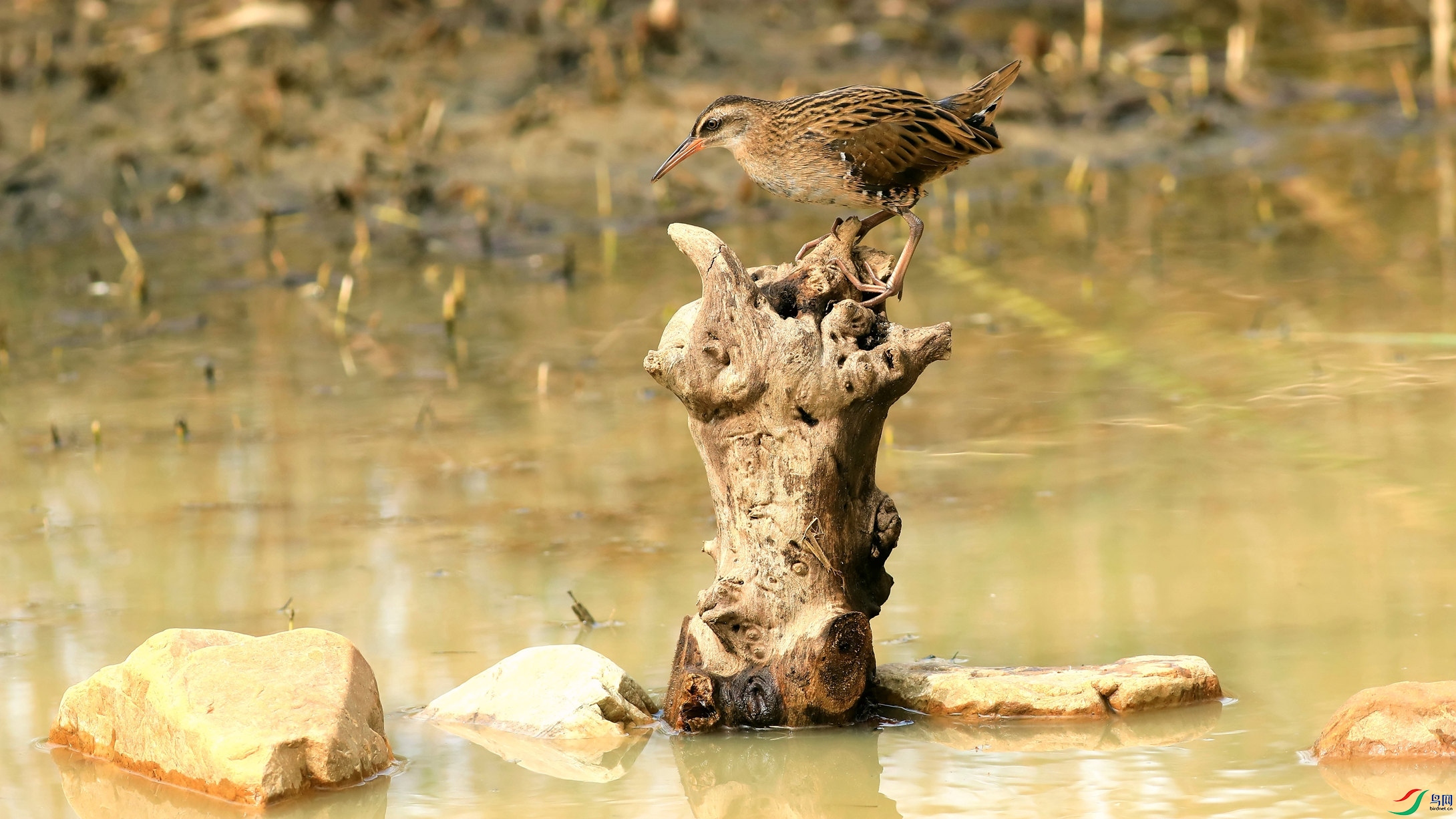 ��ͨ����3