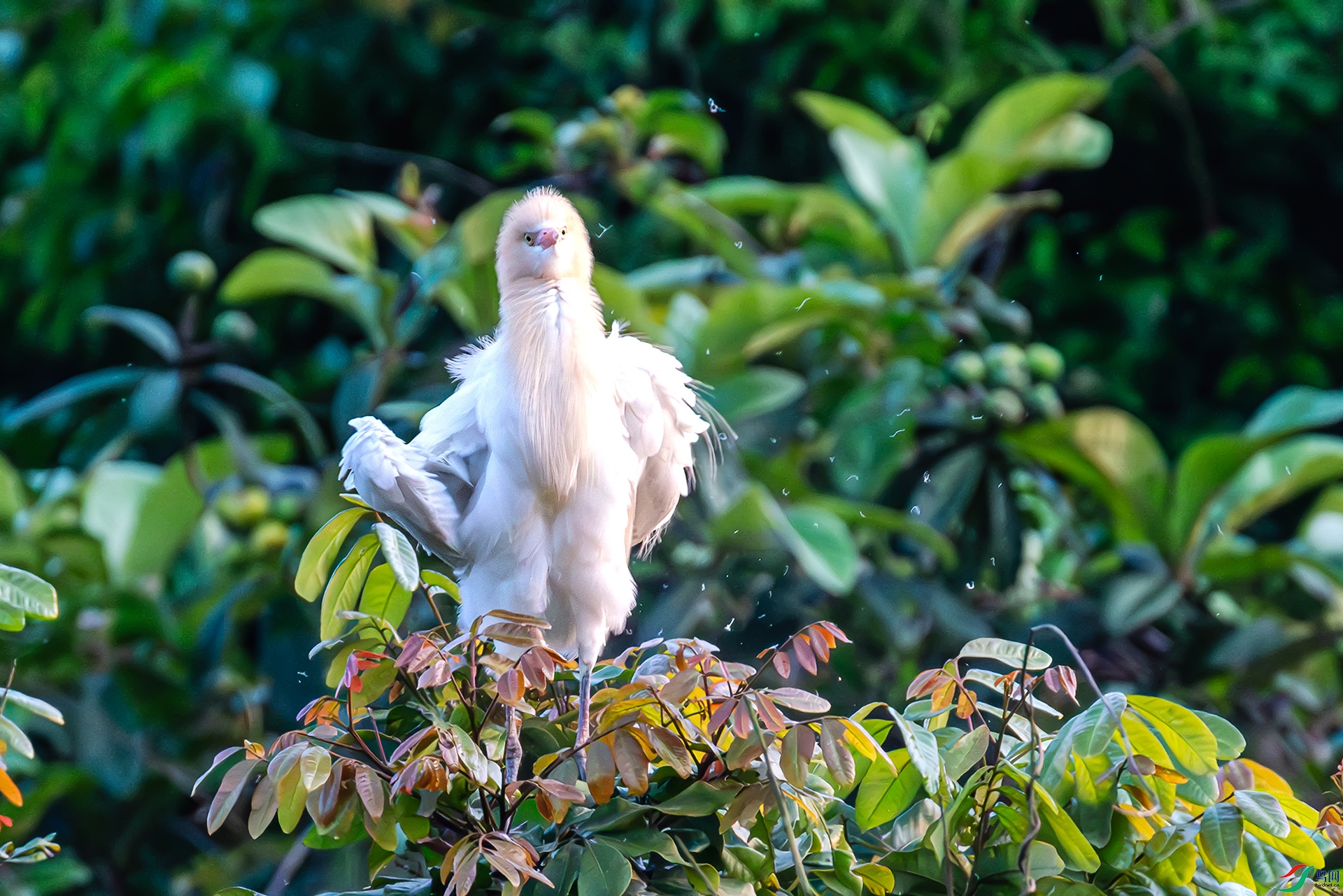 20241106ӭ���㣡 ����.jpg