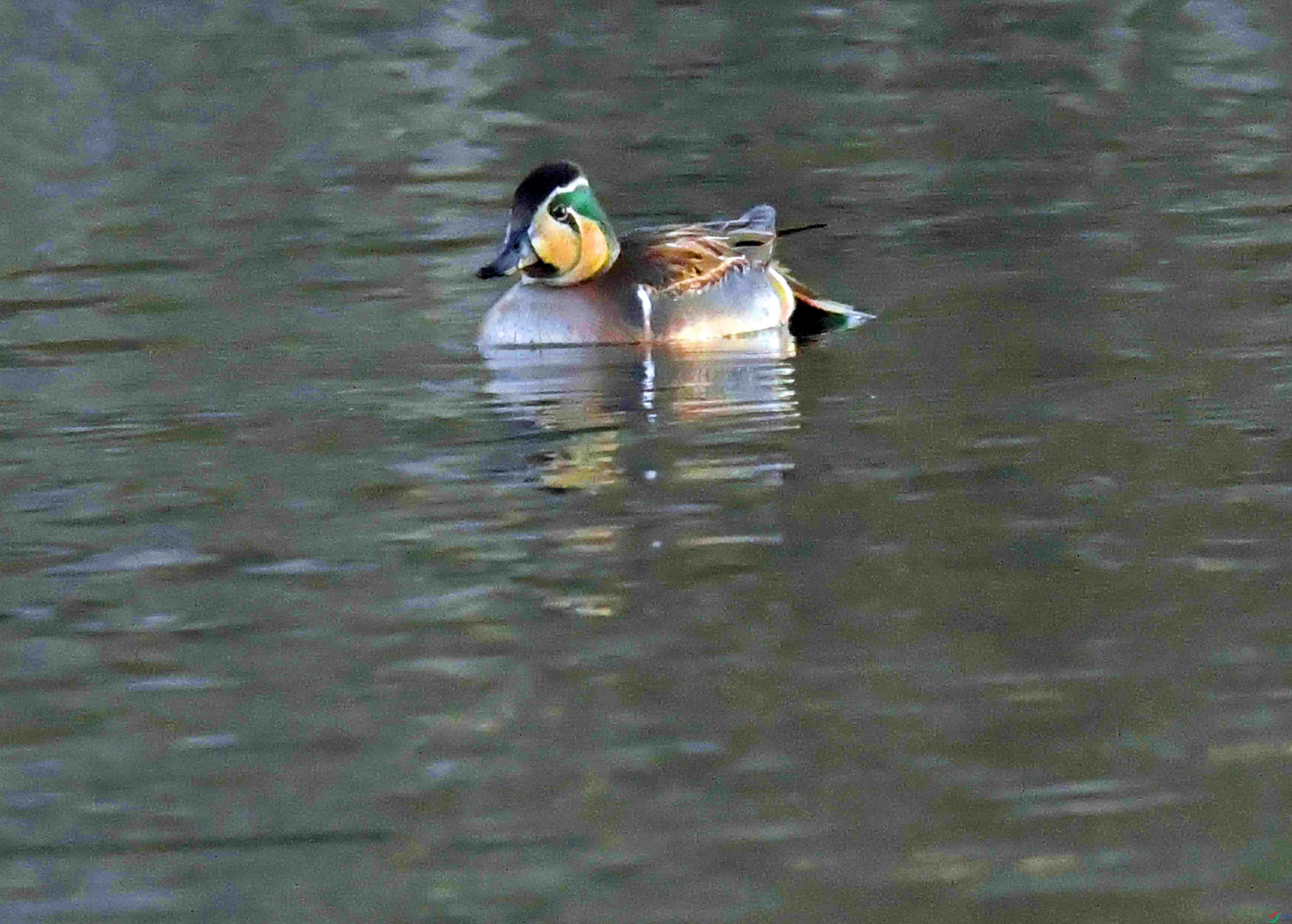 DSC_9892.JPG