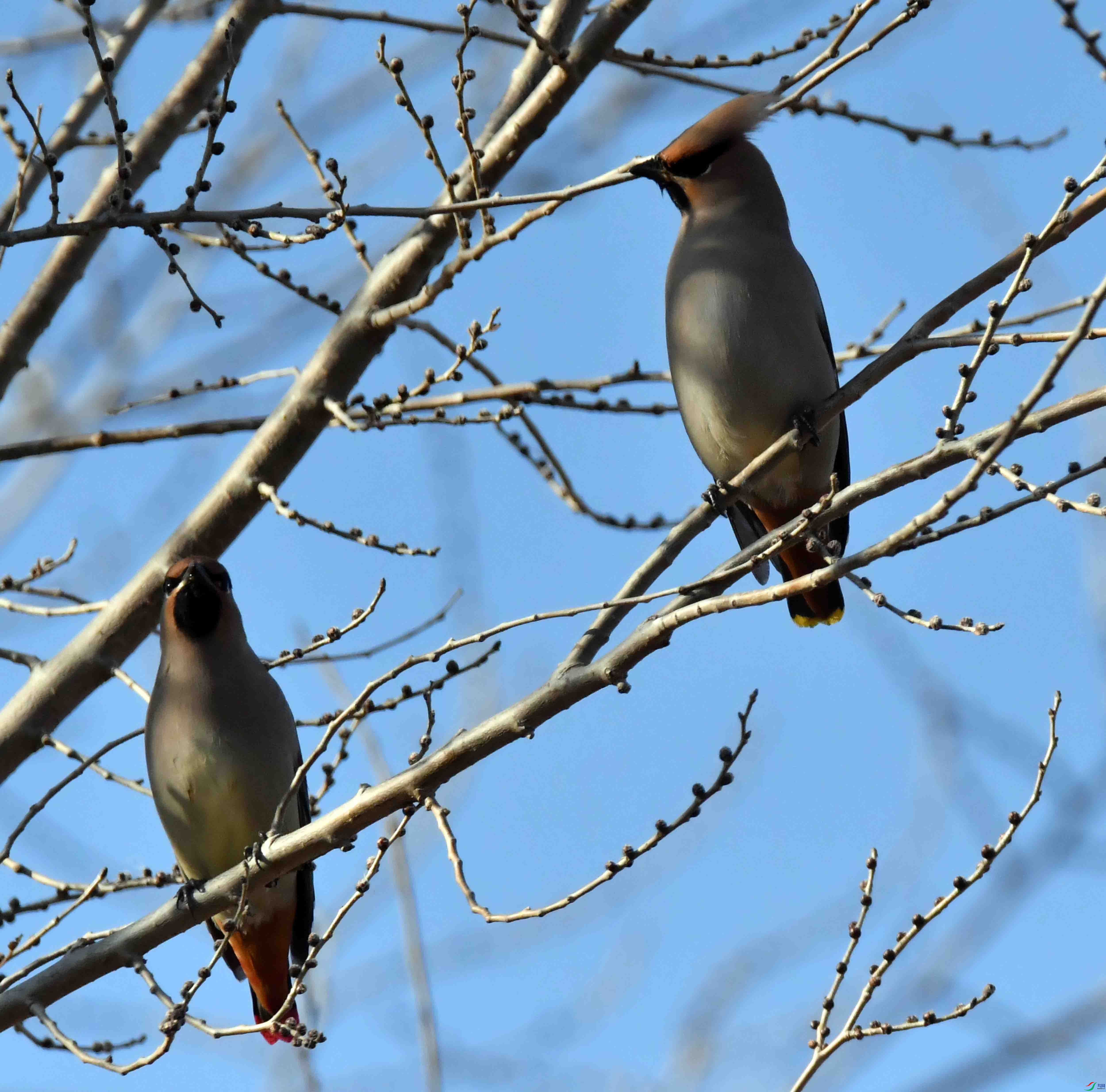 DSC_8436.JPG