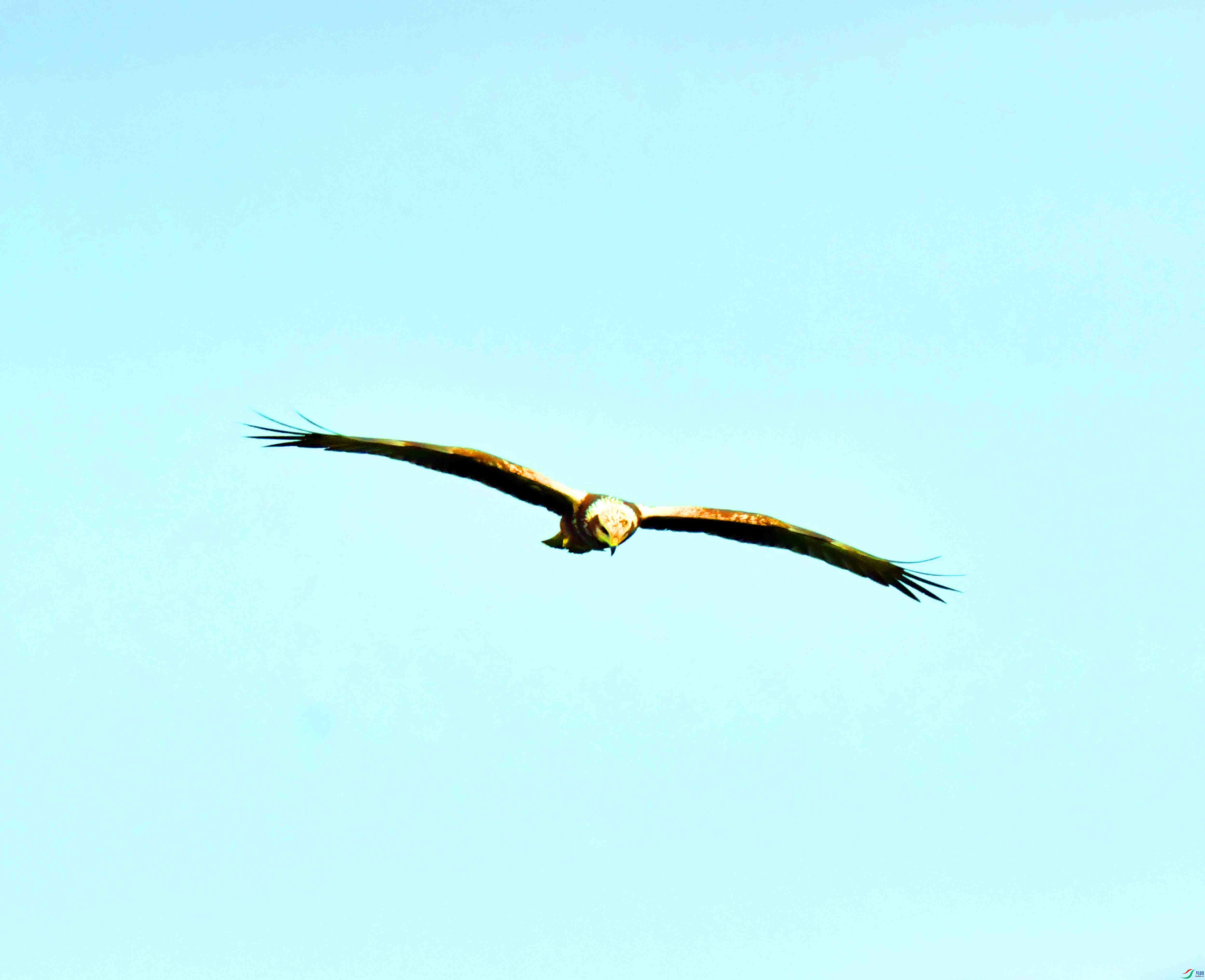 DSC_7638.JPG