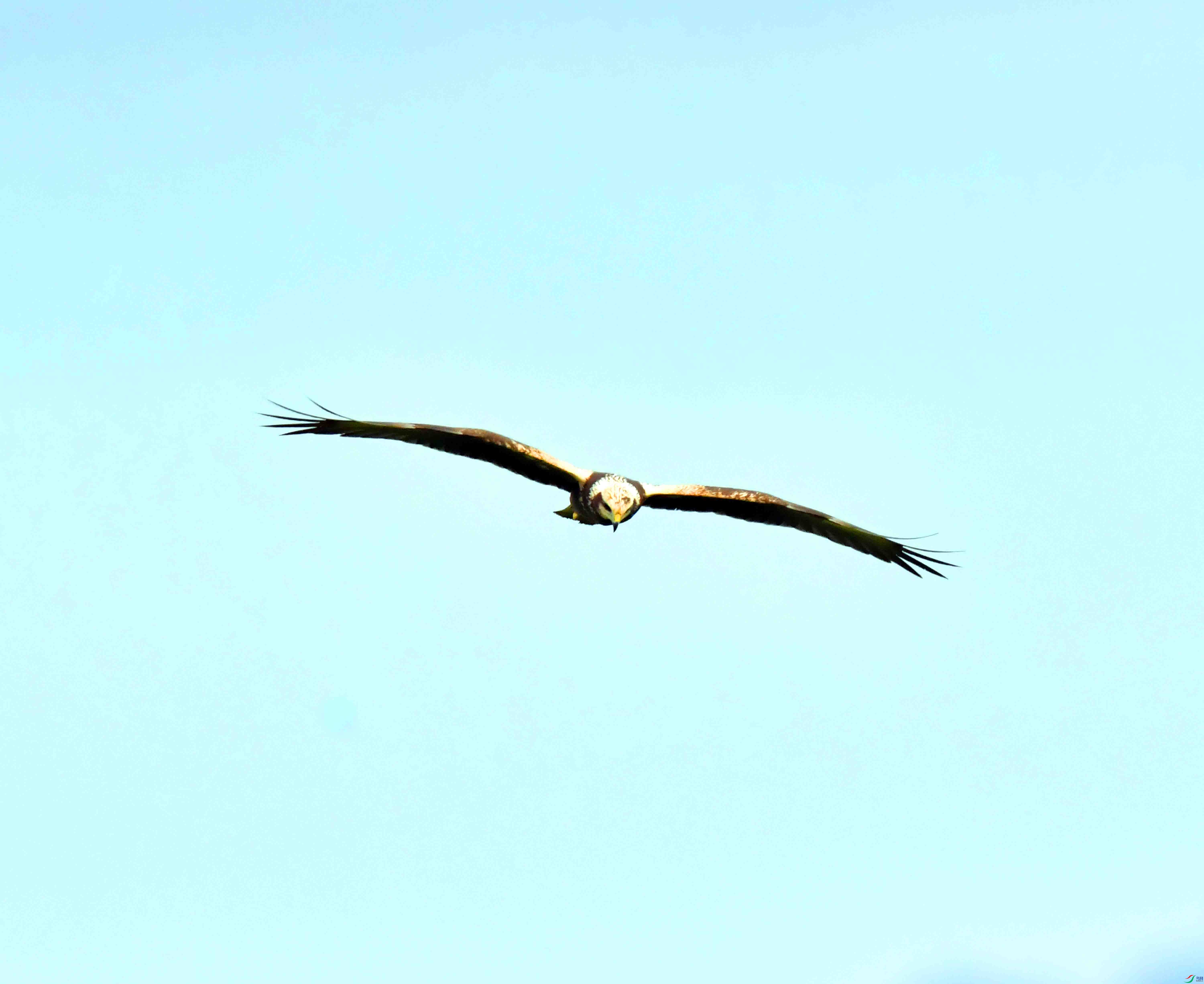 DSC_7637.JPG
