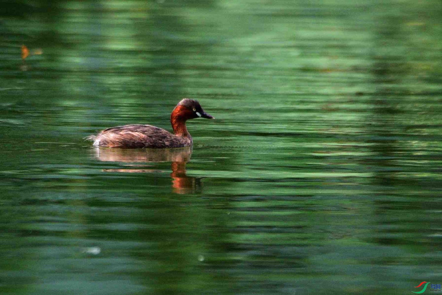 DSC_6183.JPG
