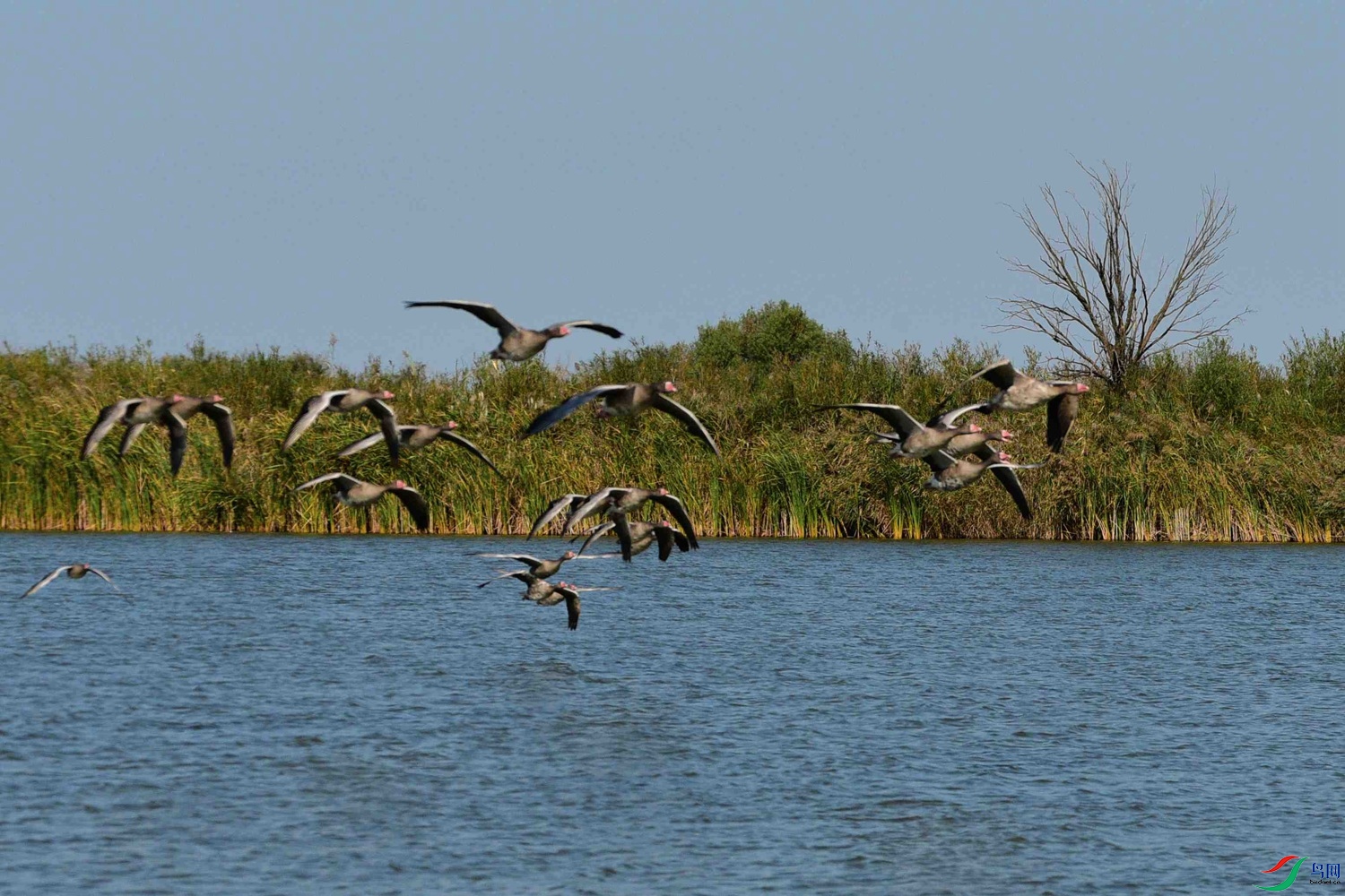 DSC_6860.JPG
