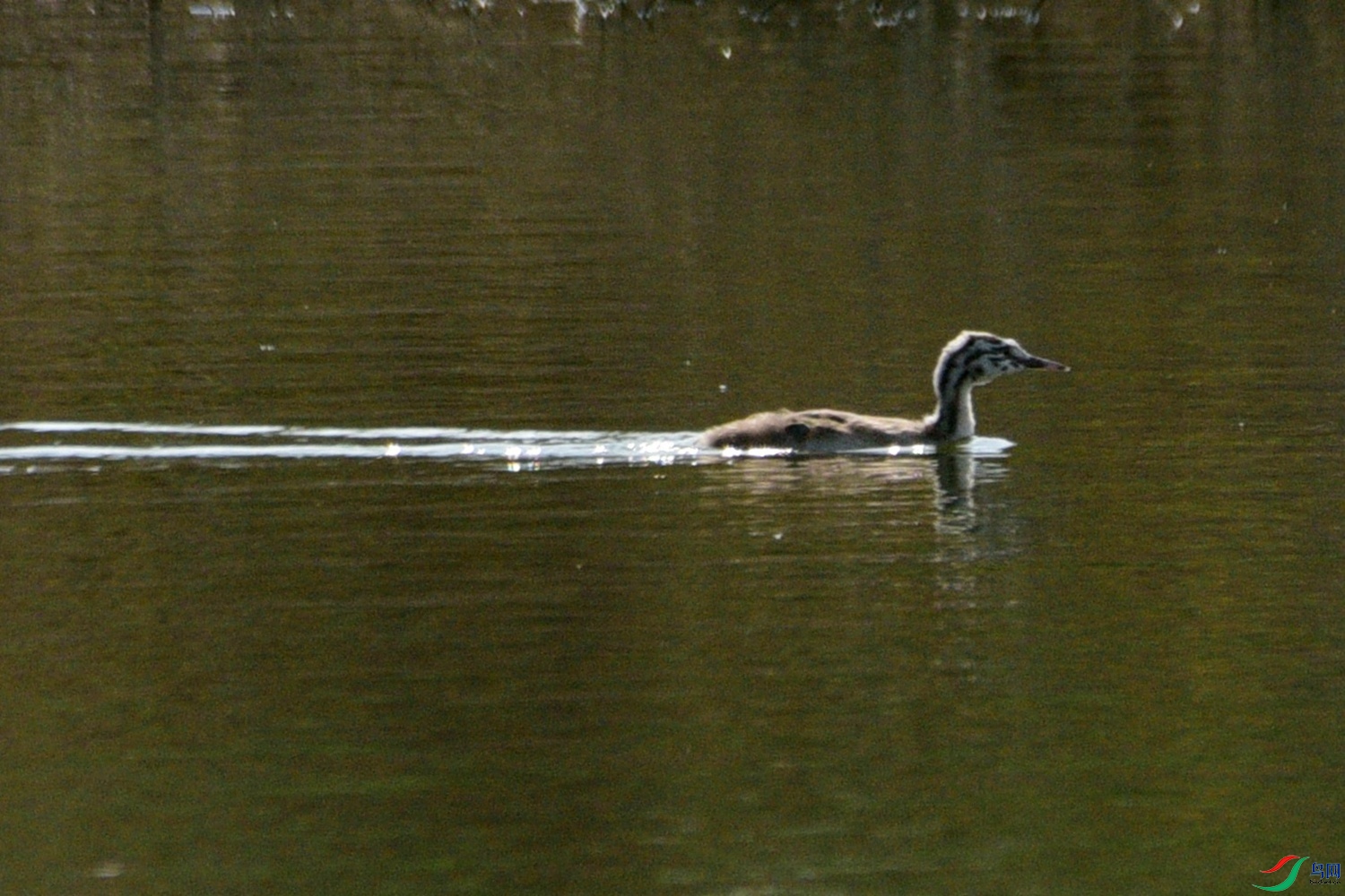 DSC_7191.JPG