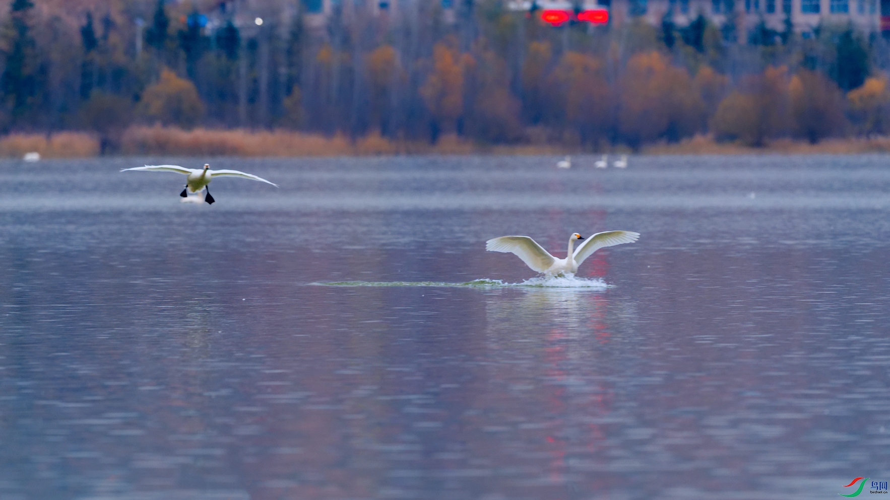 DSC_5687_DxOa.jpg