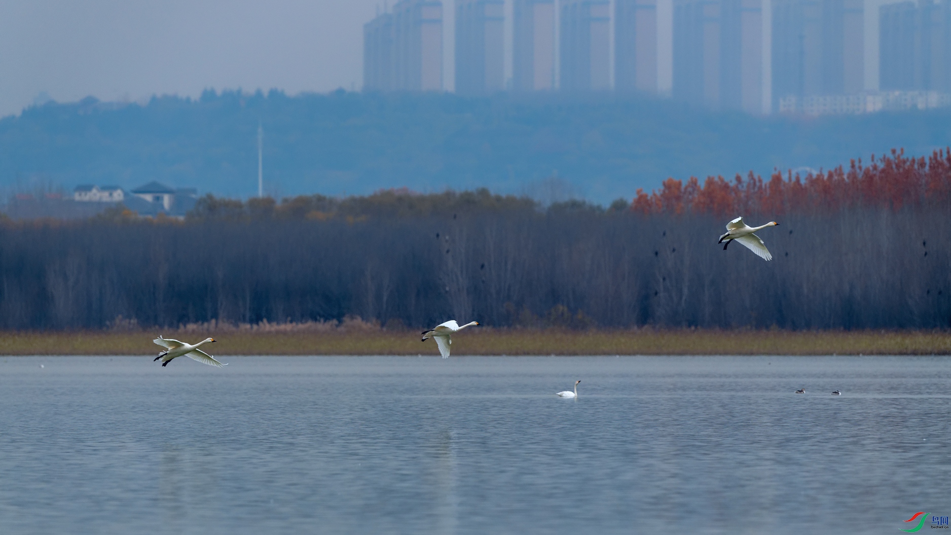 4DSC_5655_DxOa.jpg