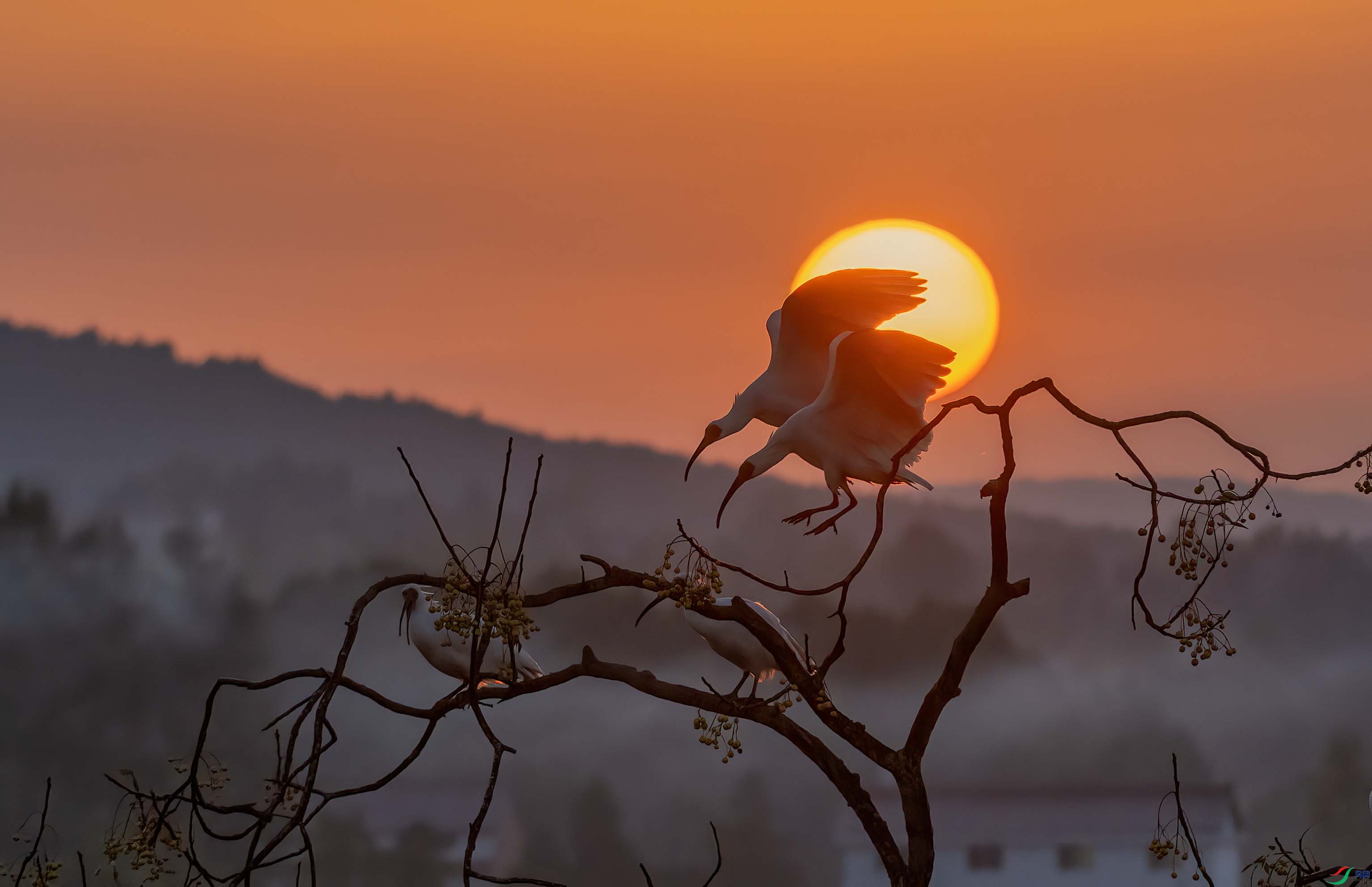 DSC_3532 ����.jpg