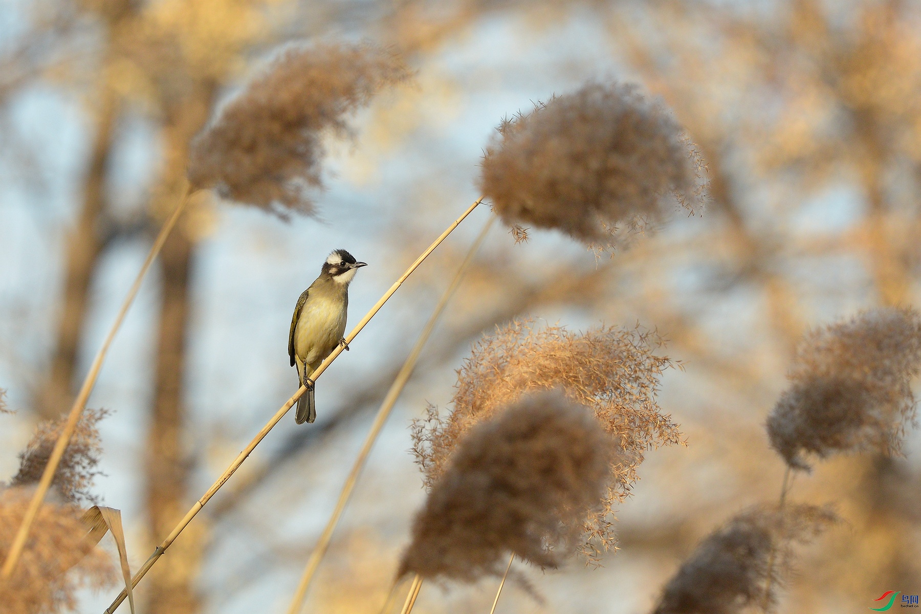 DSC_1630_«έ�.jpg