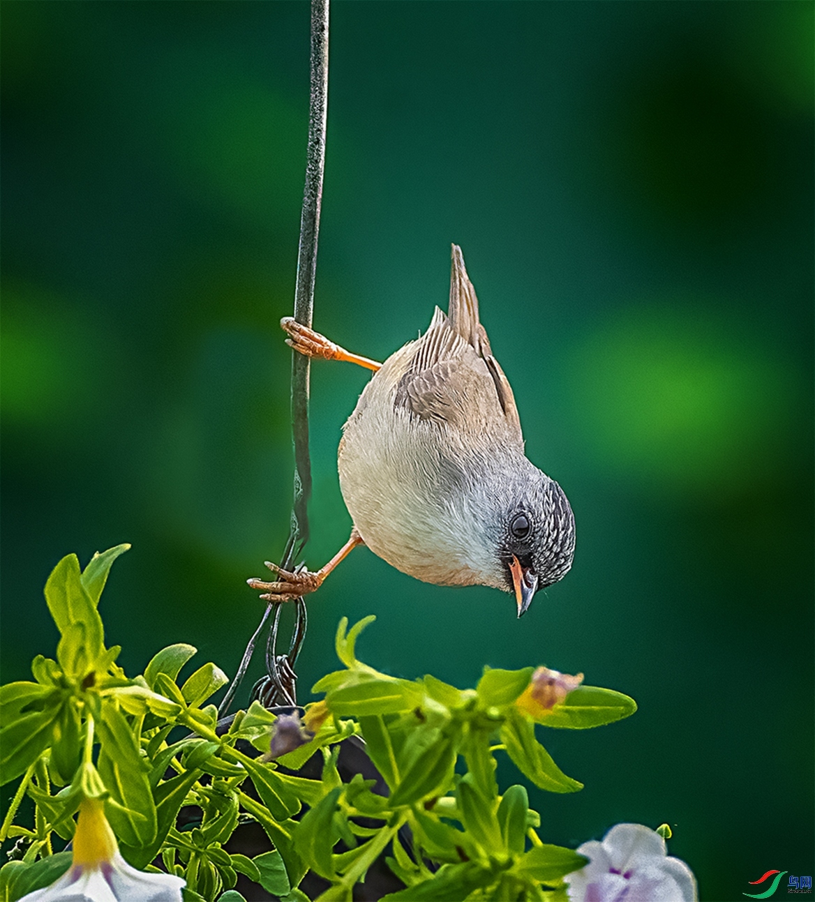 �ϵ��Ʋ��c