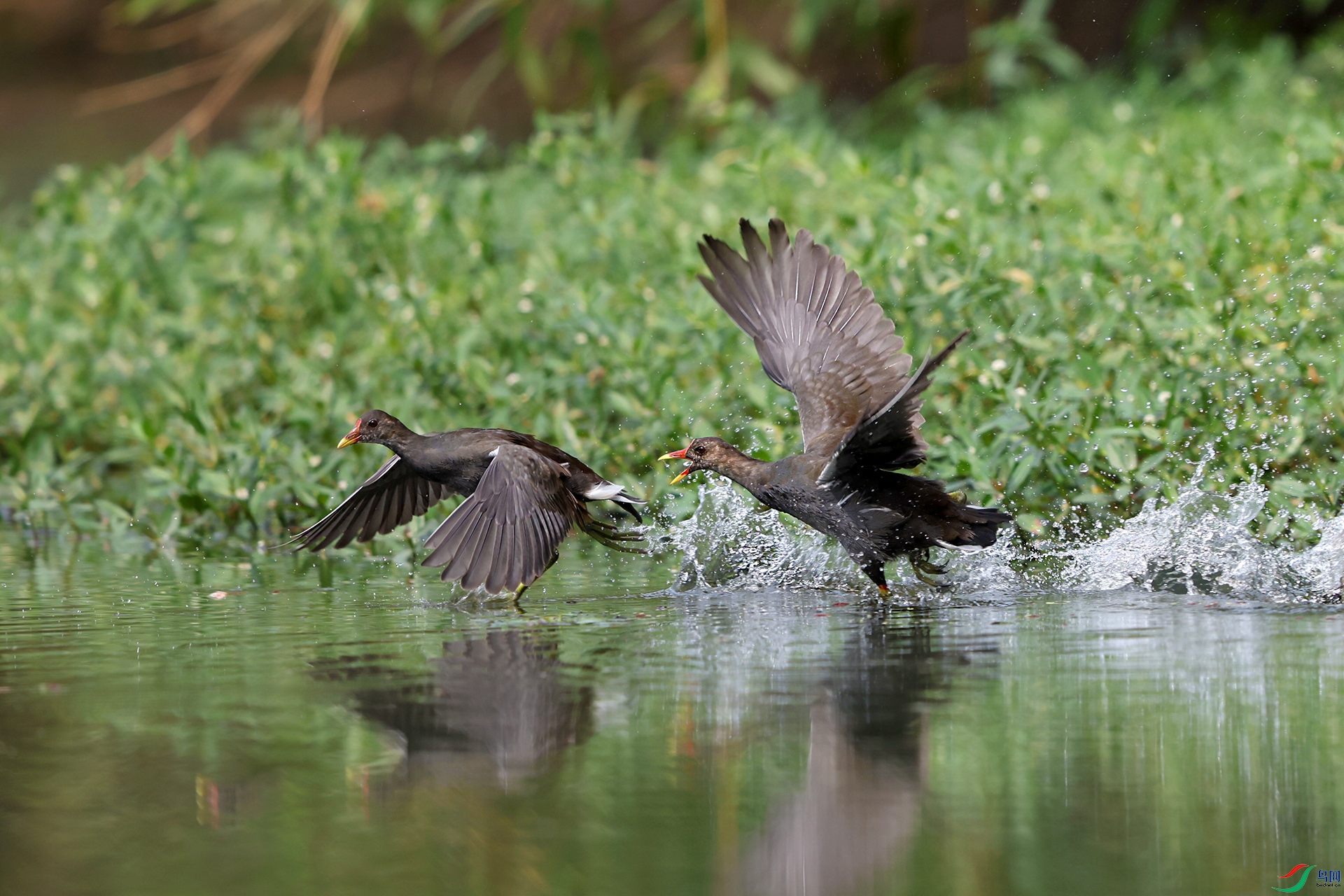 2I1A6493 - ����tz.jpg