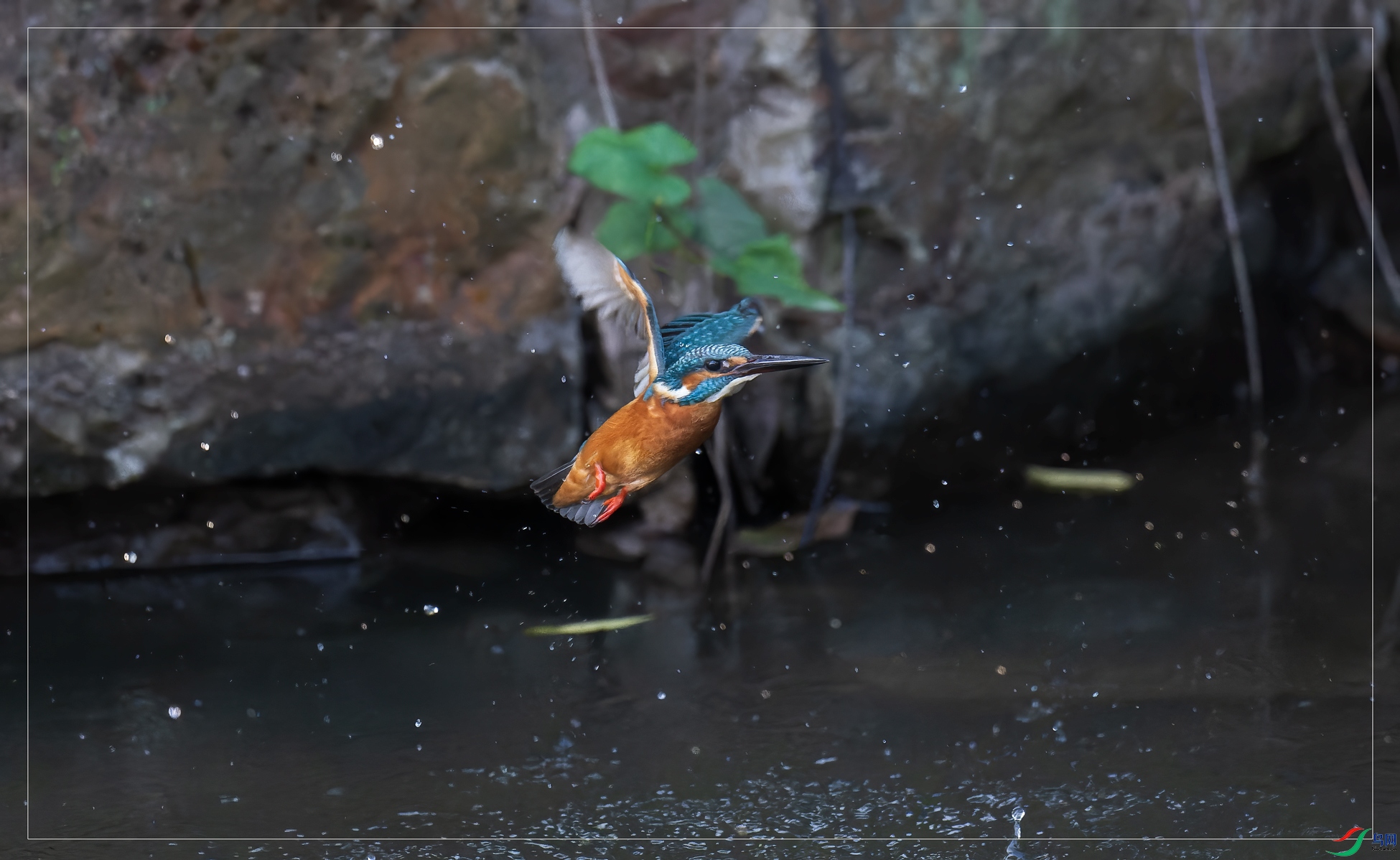 _DSC4815-NEF_DxO_DeepPRIME-1.jpg
