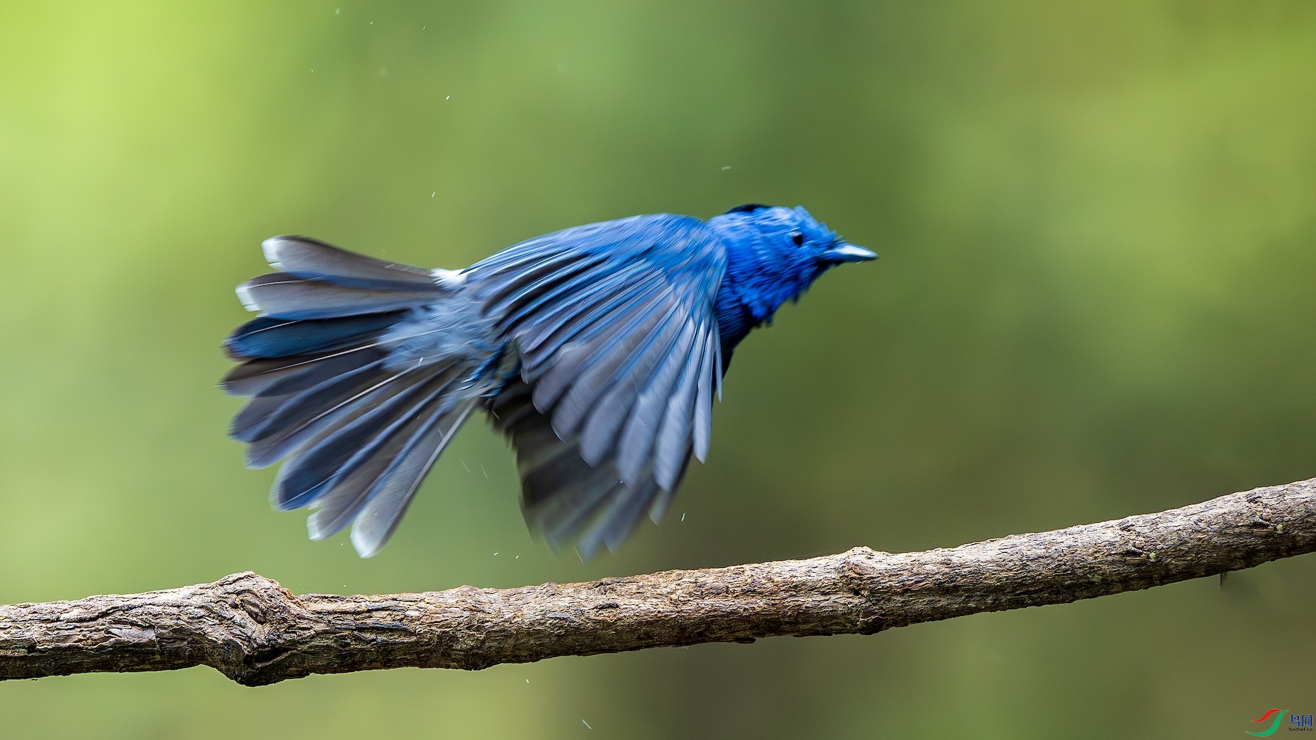 1_XXL1479-����ǿ-NR ����.jpeg