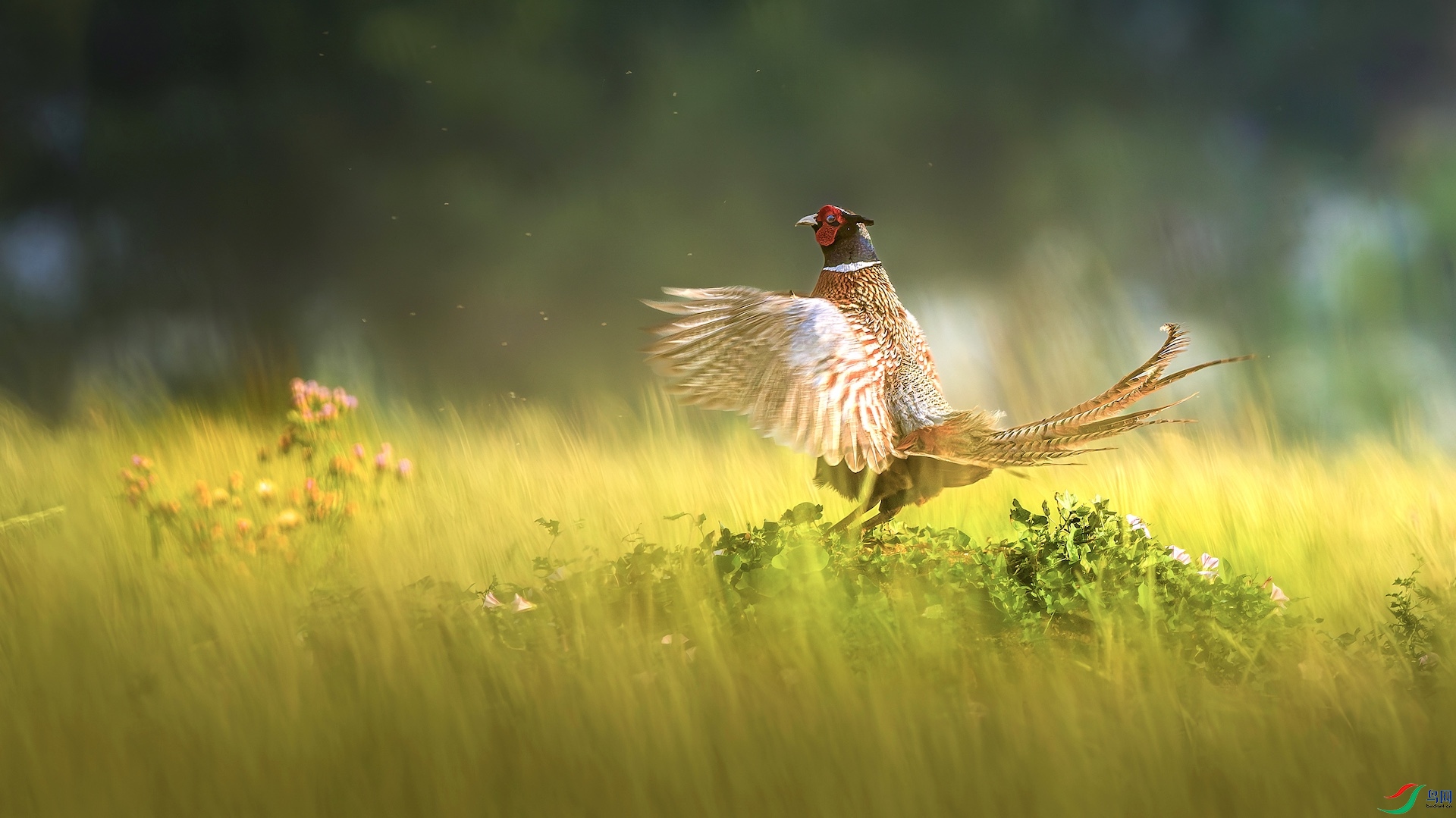 1_XXL3418-����ǿ-NR ���� 2.jpg99.jpeg