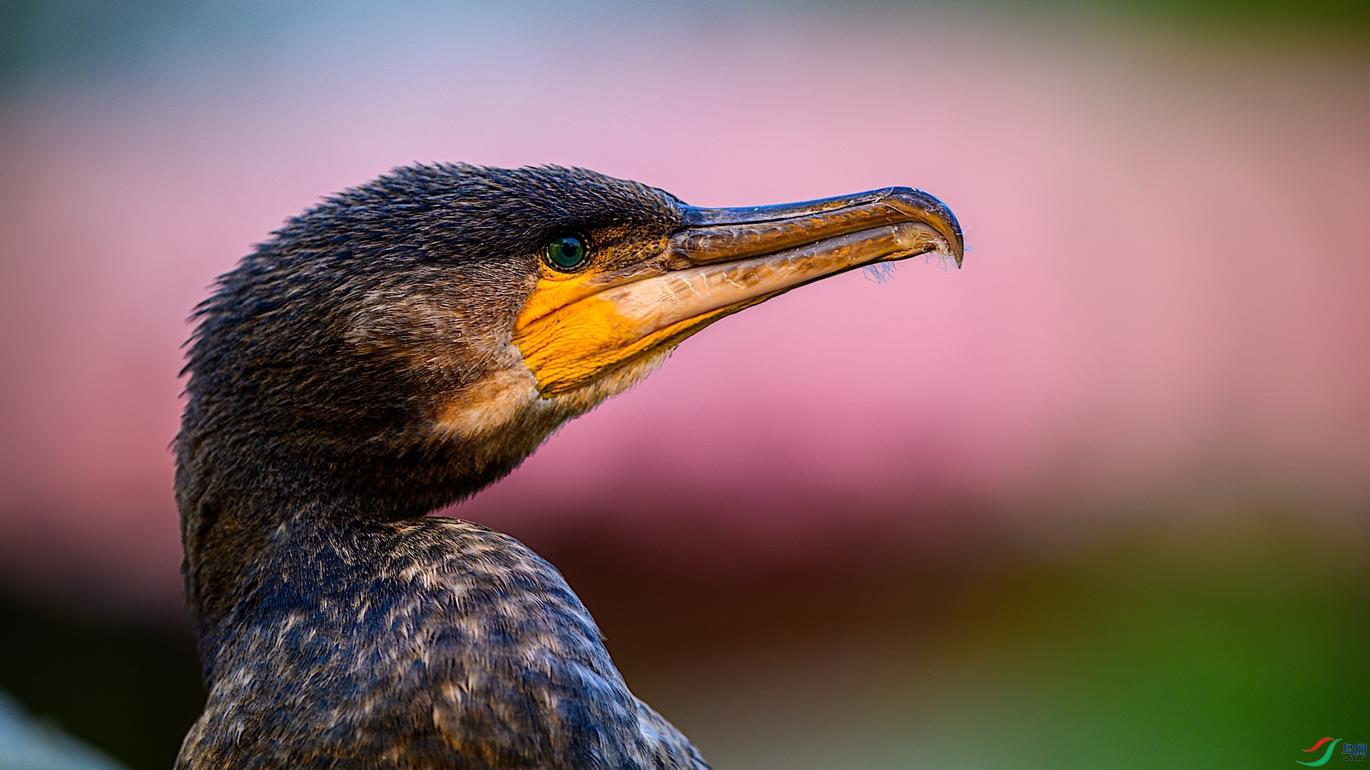 1-2_X2 ����.jpeg