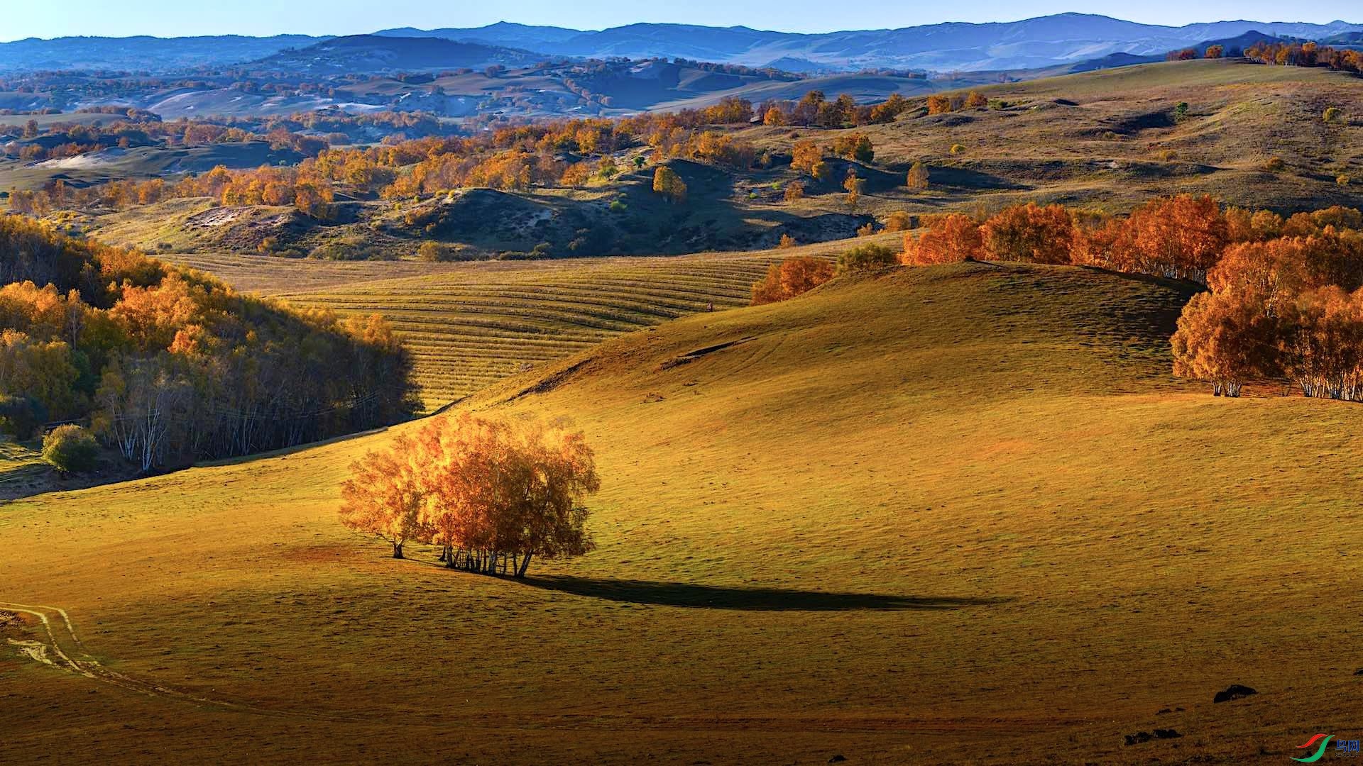 1-2XXL_8751-����ǿ-NR ���� 2.jpeg