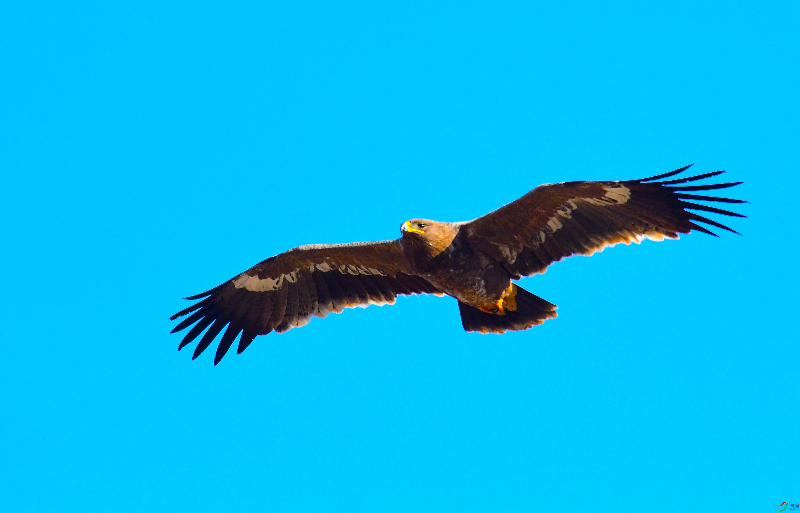 DSC_3972.JPG