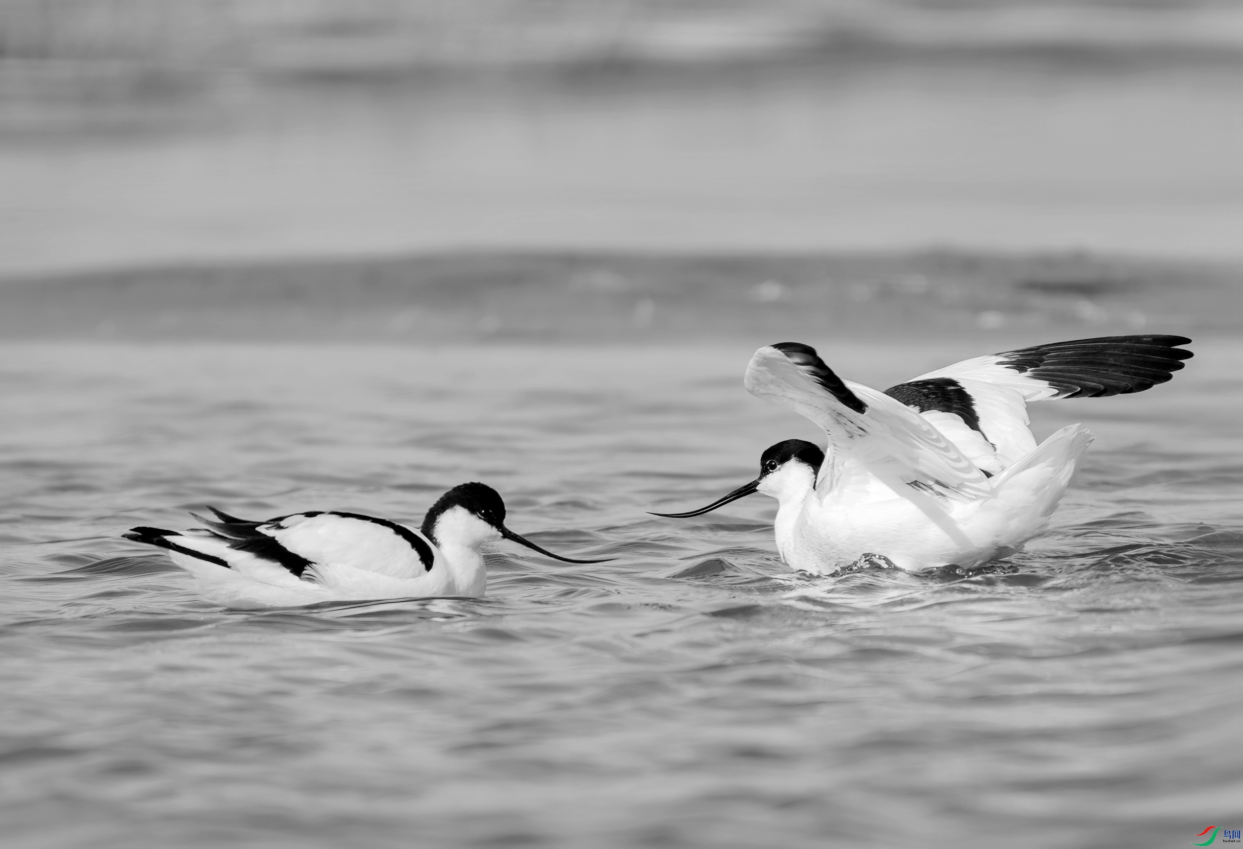 DSC00311 ����_����.jpg