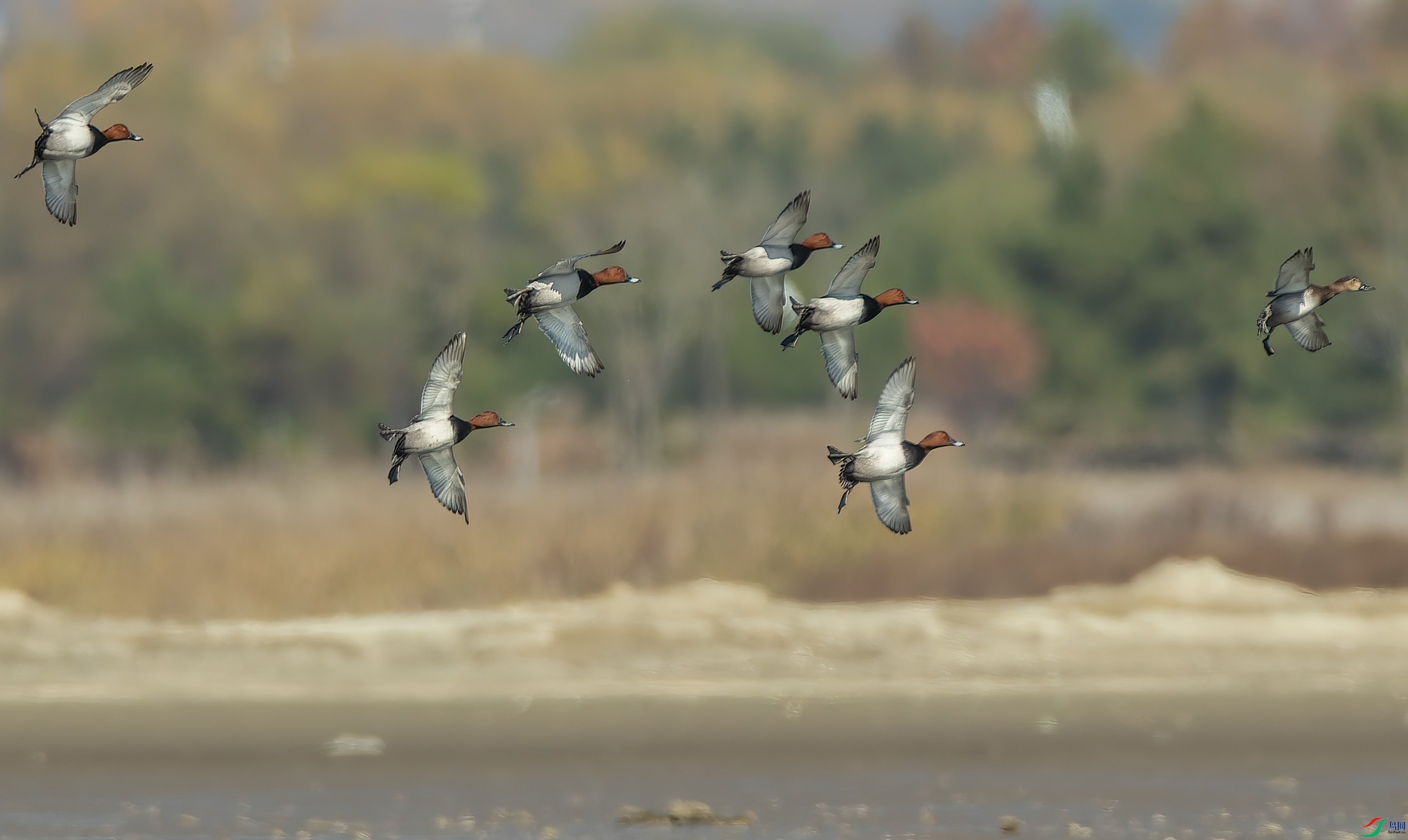 IMG_5906 ����.jpg