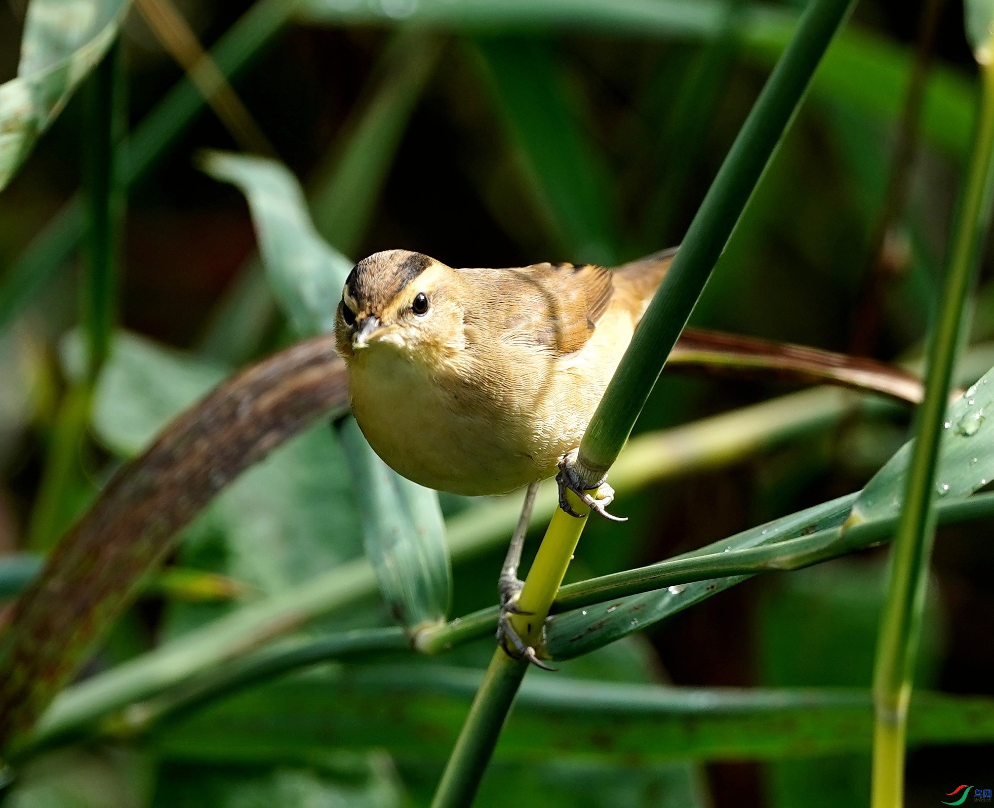 DSC03480.JPG