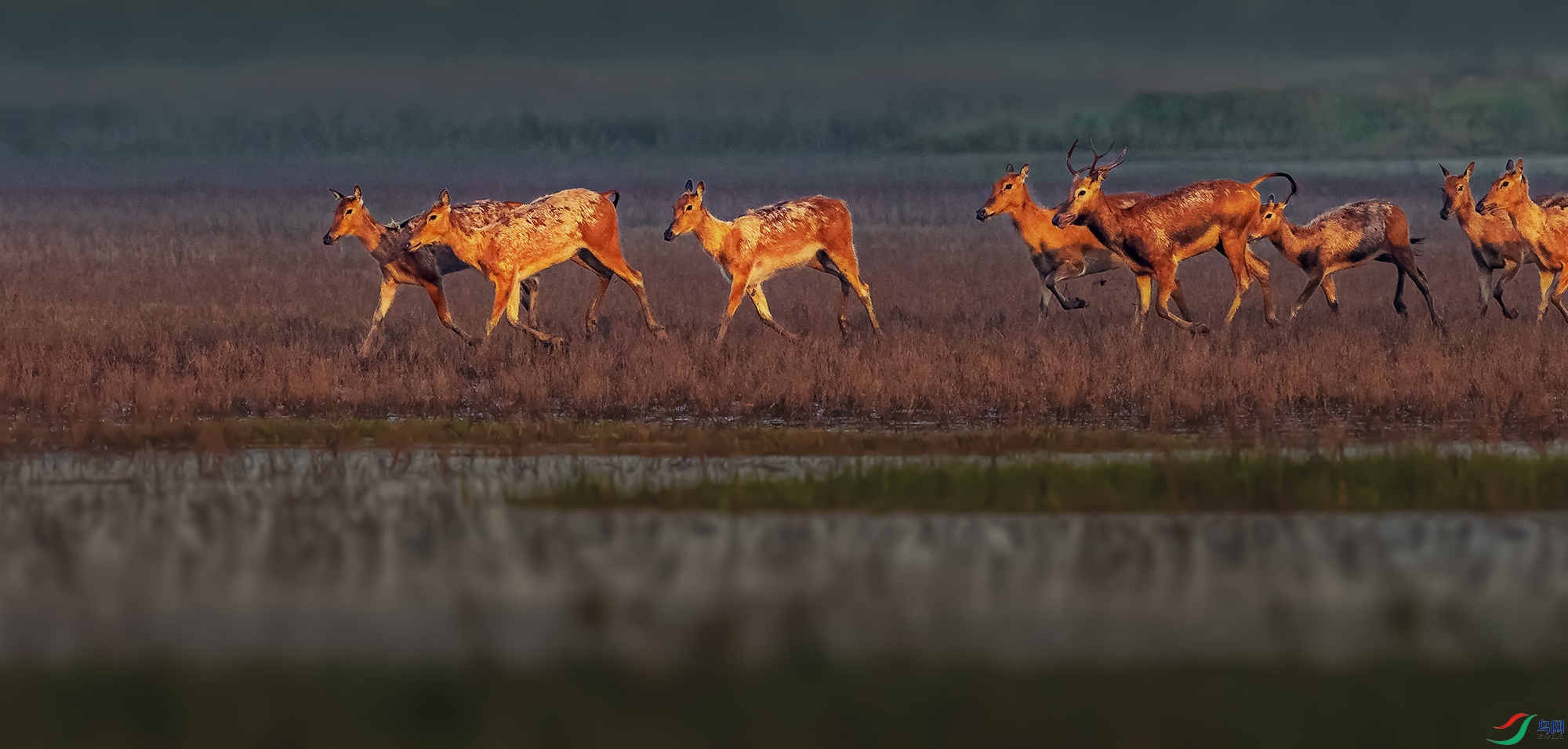 ��¹----�˾Թ�Ϫ