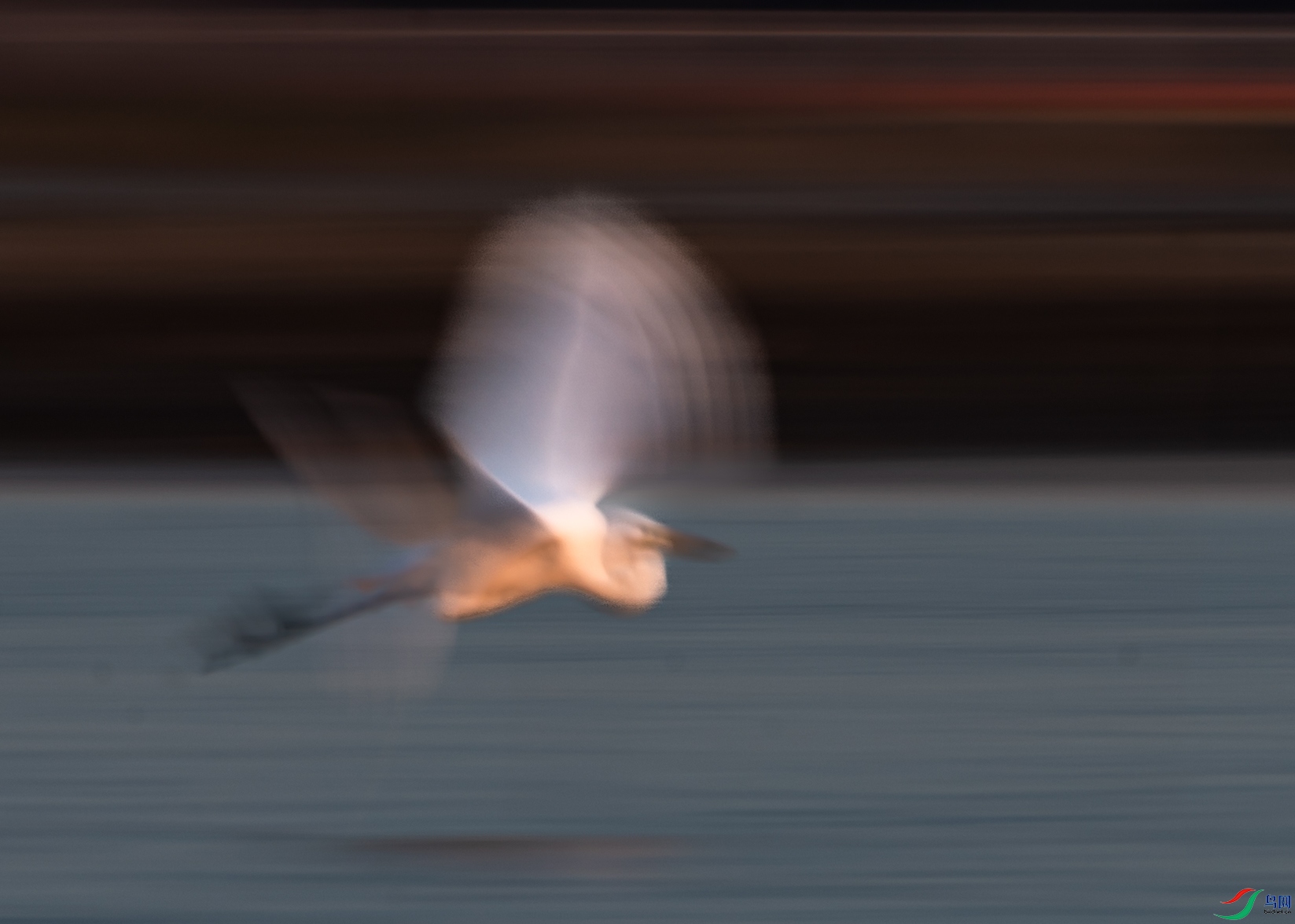 NHC_6445.jpg