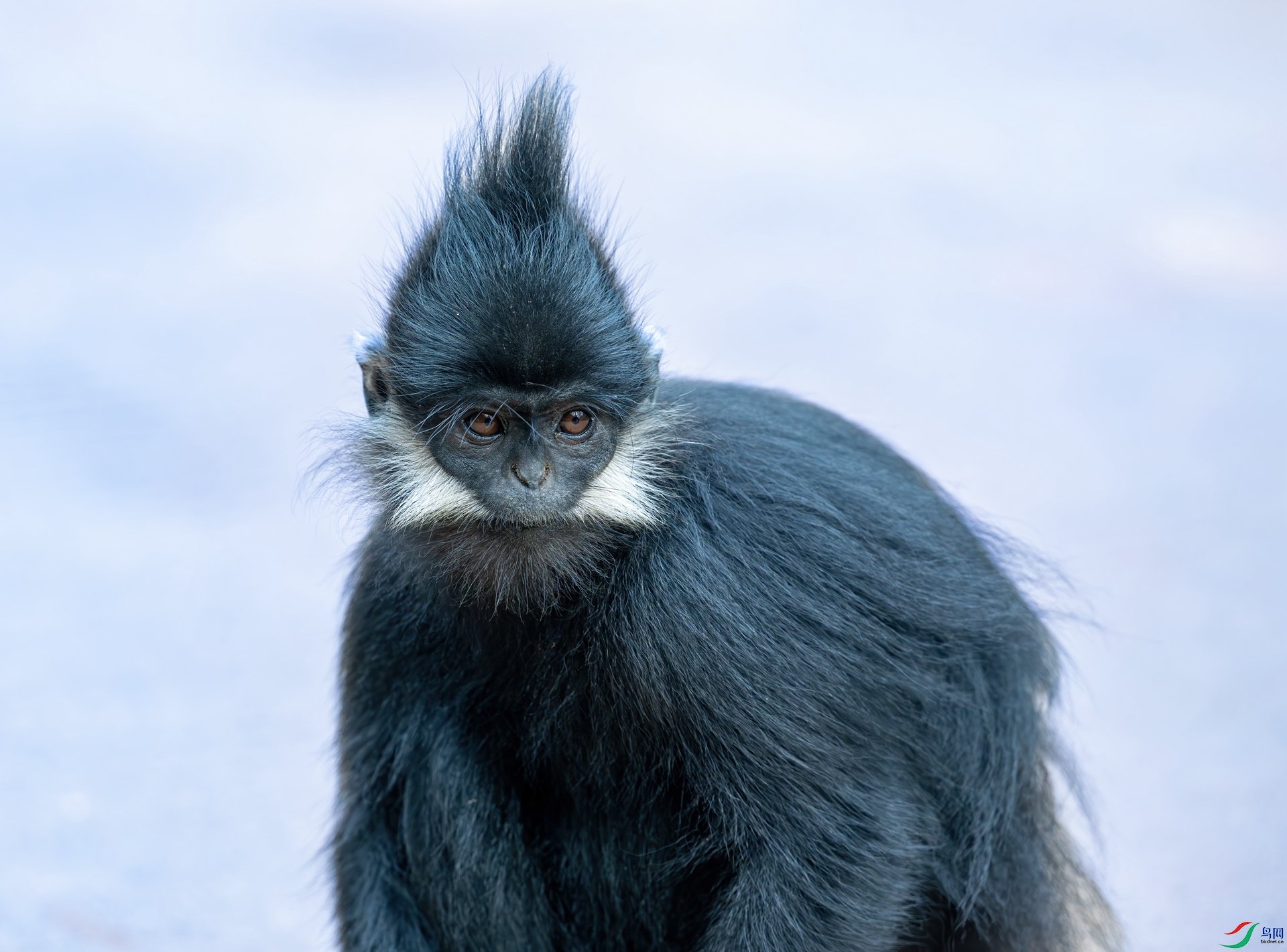 DSC_7827.jpg