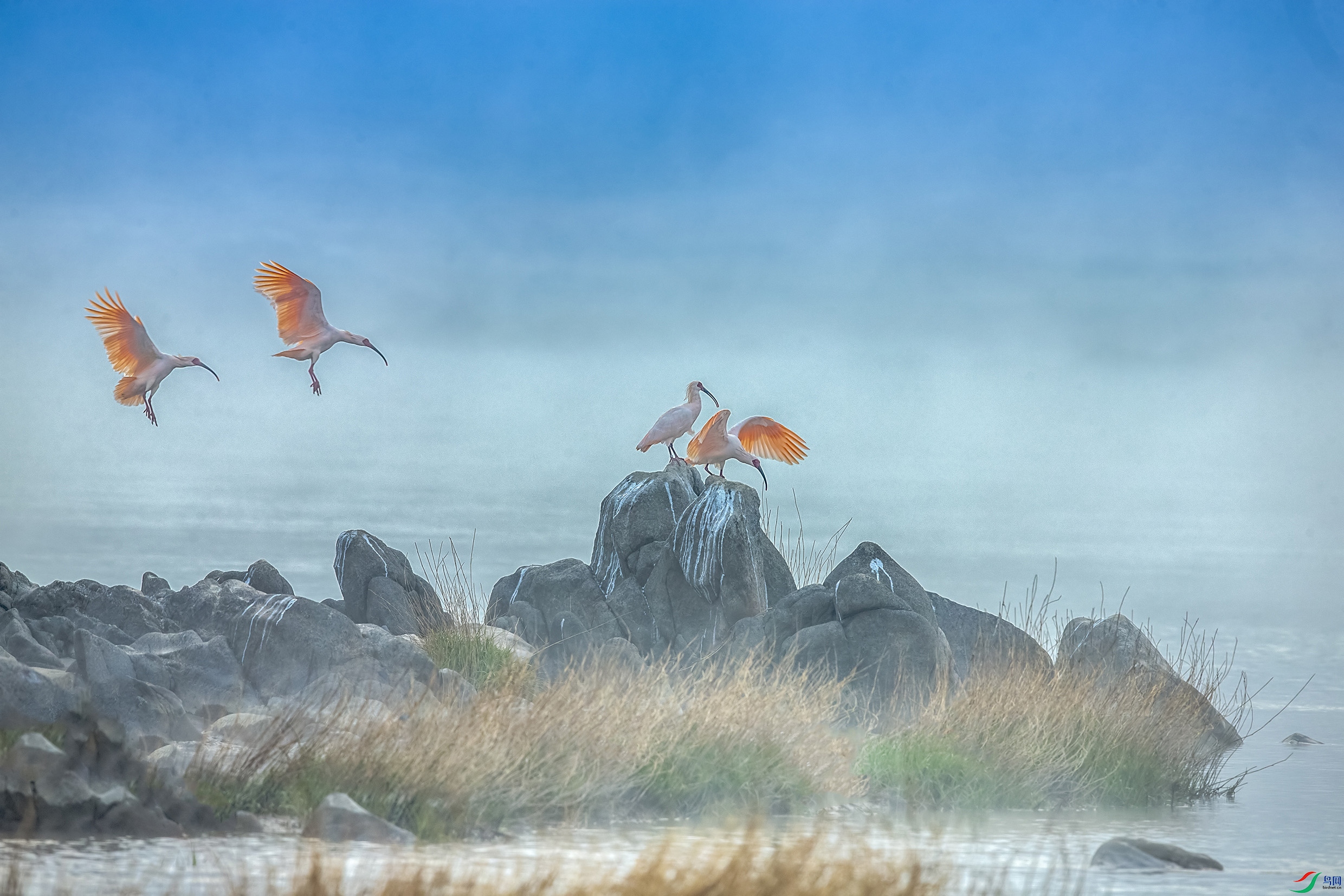 C09R7137 ����.jpg