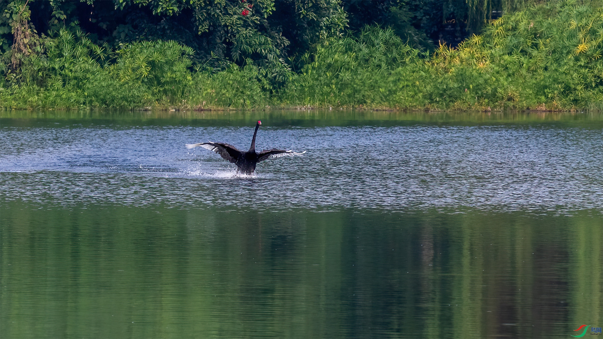 PA071064-1�����.jpg
