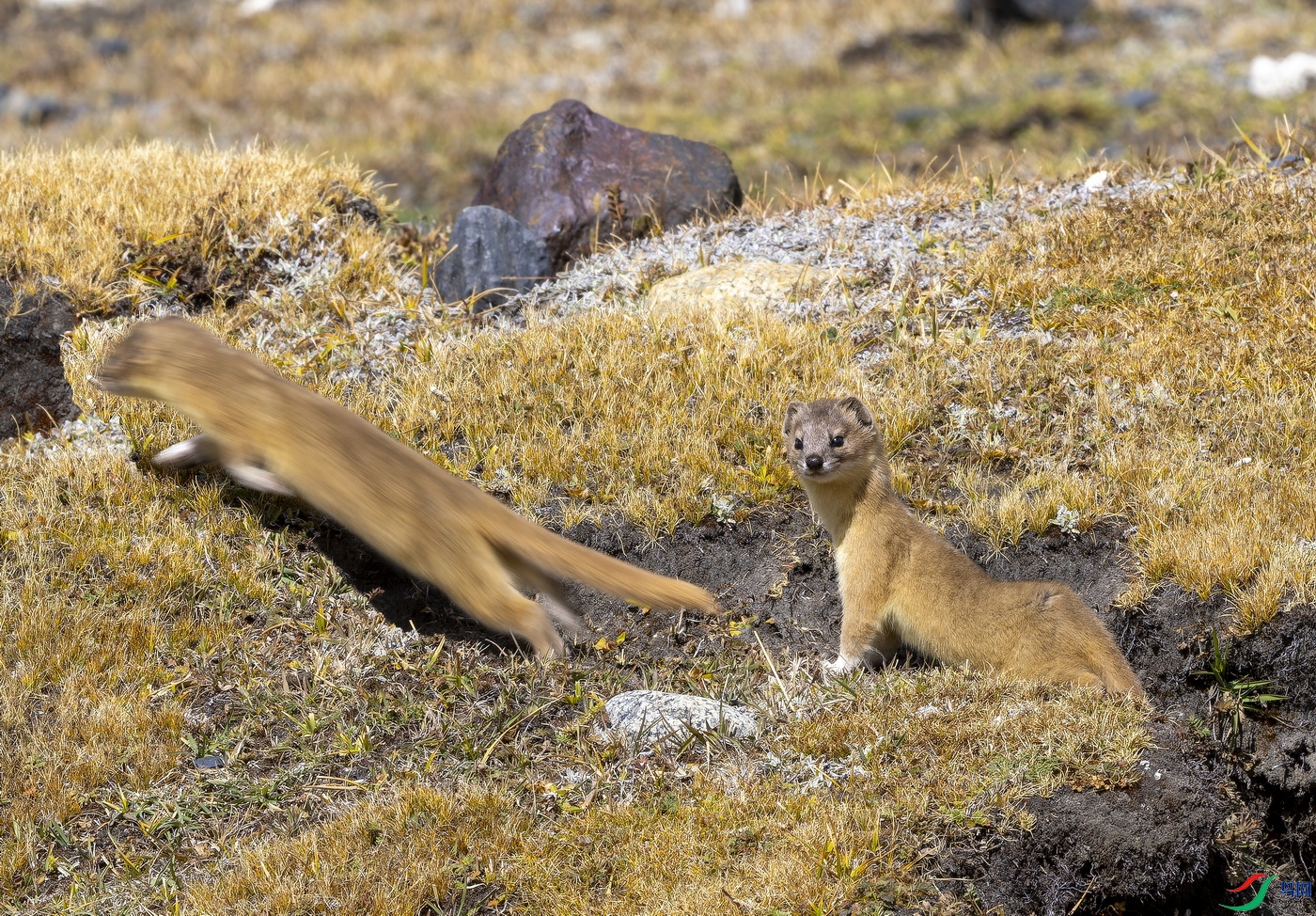 ���� (97)-01.jpg