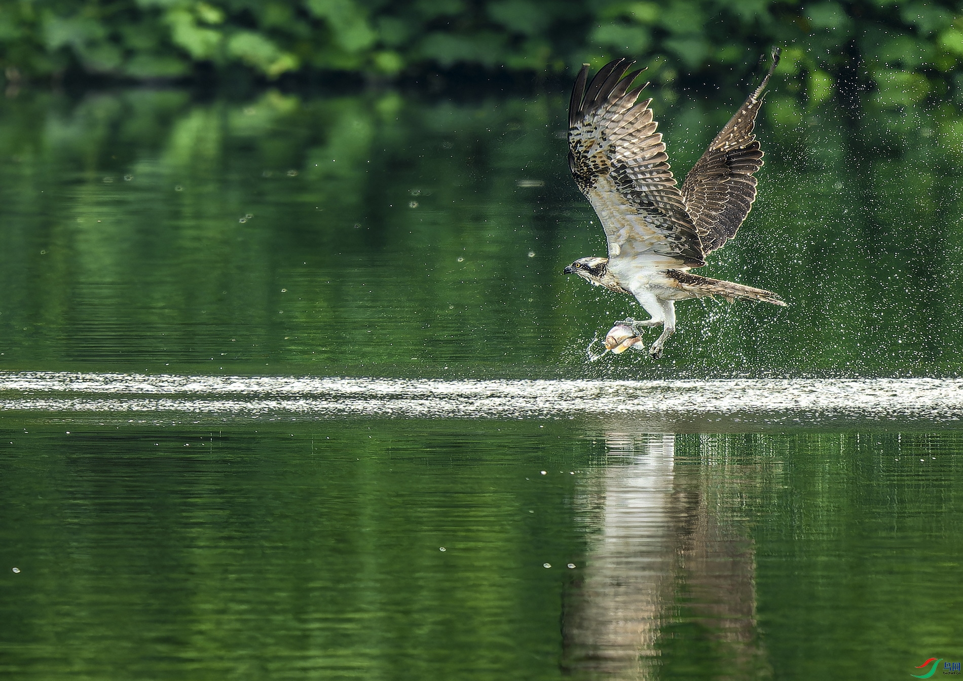 �� (301)-1-1.jpg