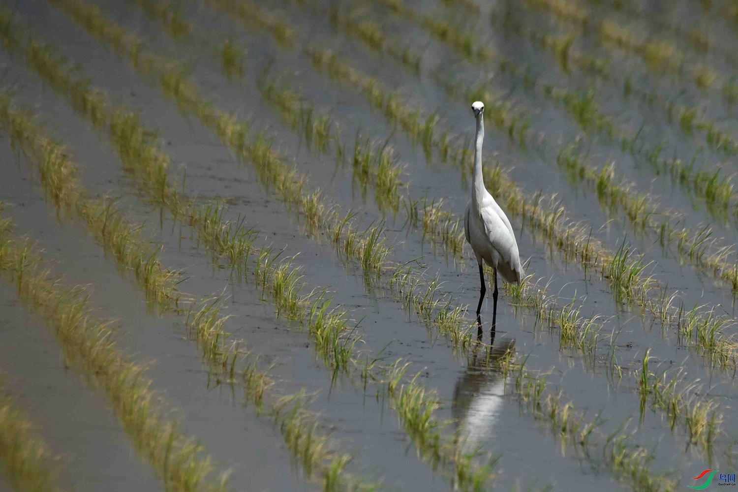 DSC_7954.JPG