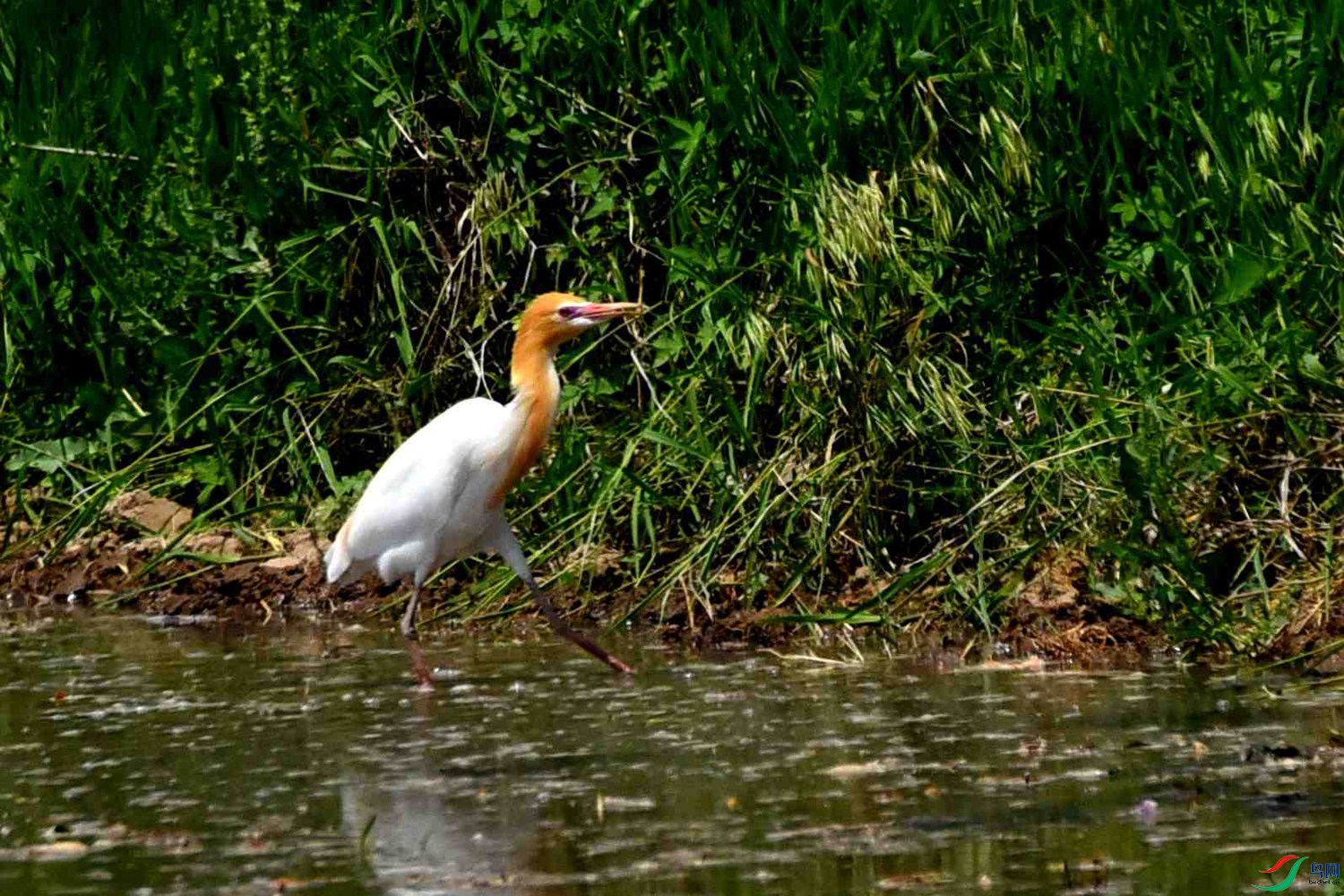 DSC_8036.JPG