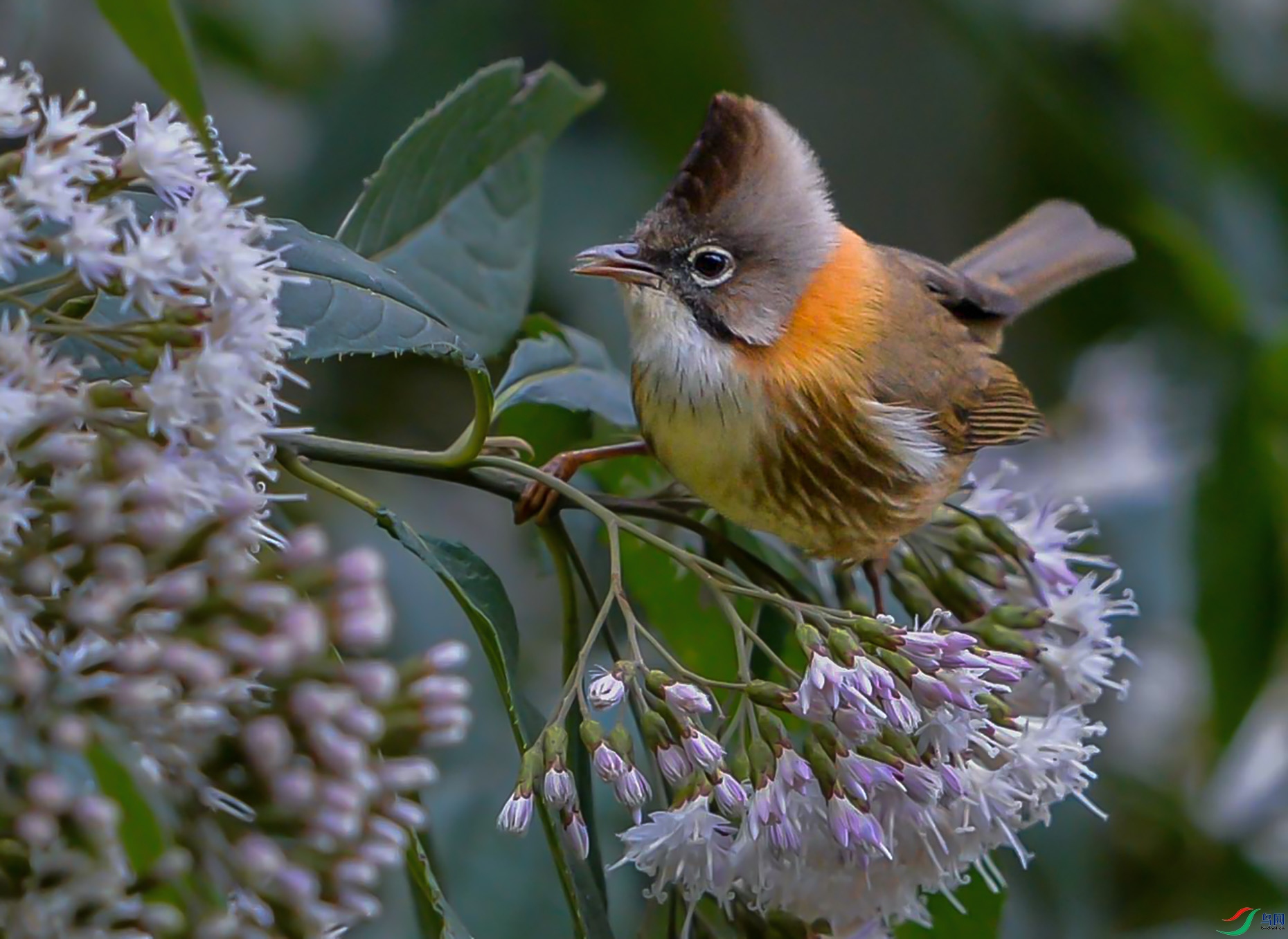 DSC_9174--�ؾ�����.jpg