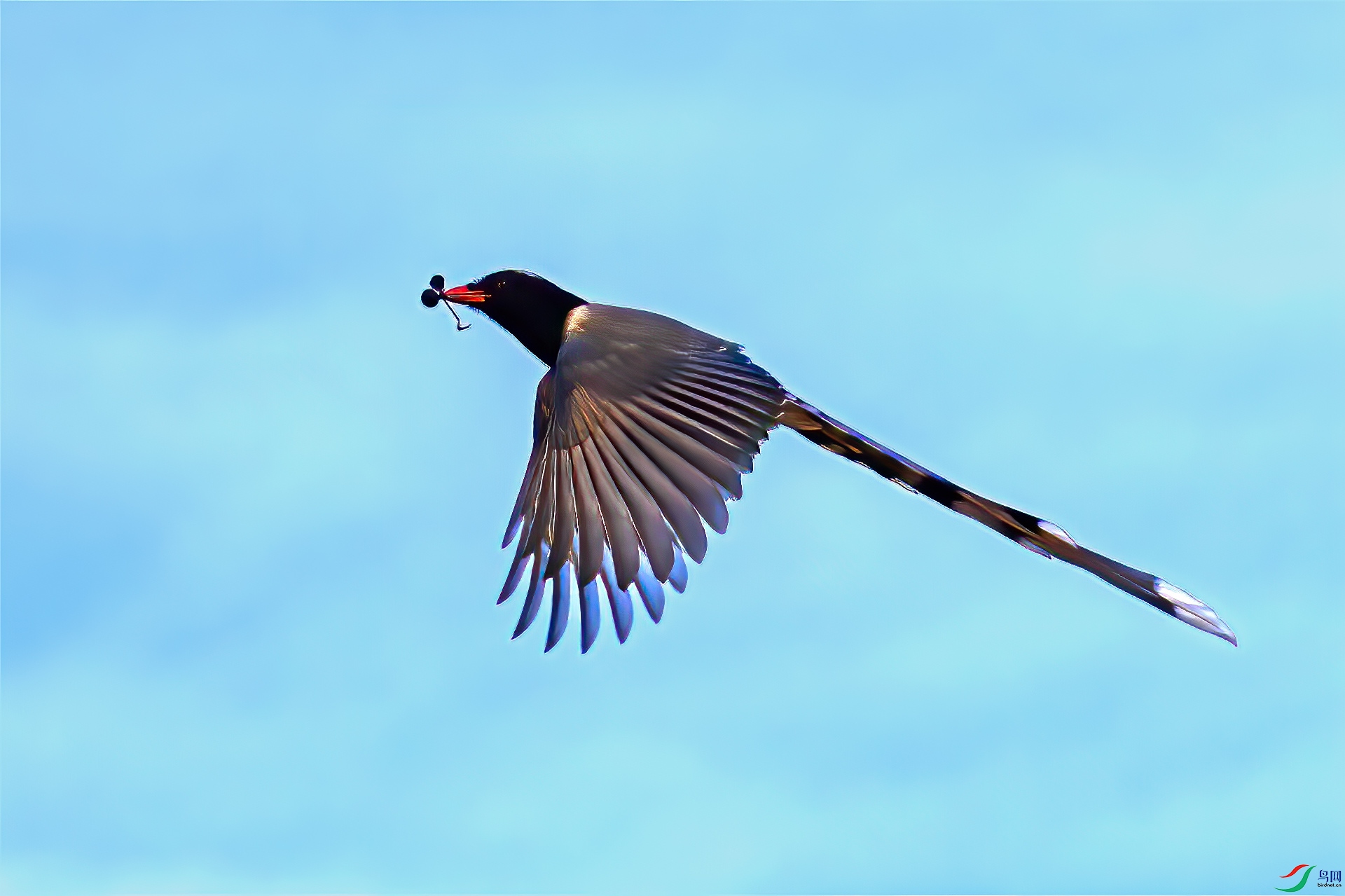 ������ȸ