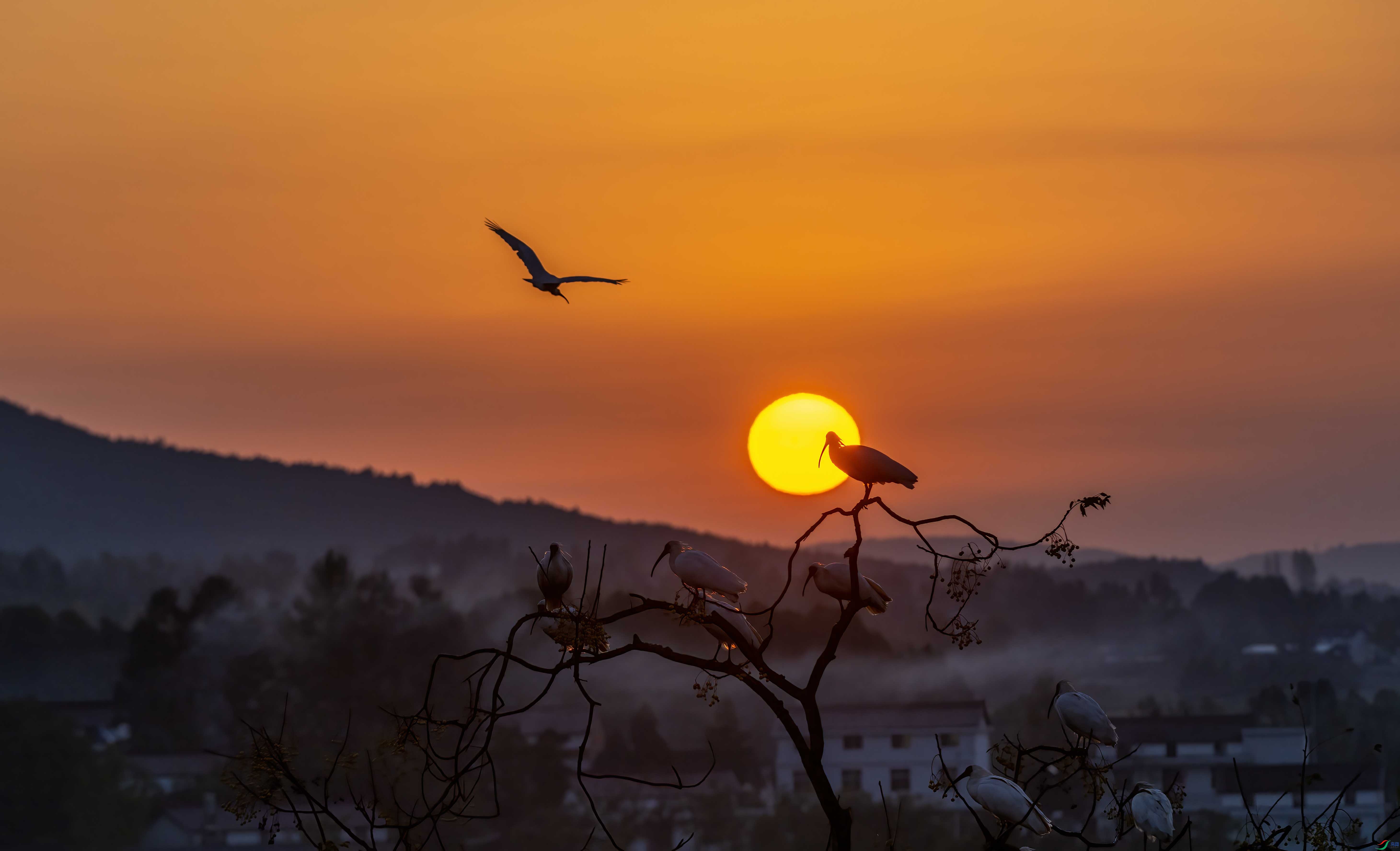 DSC_3617 ����.jpg