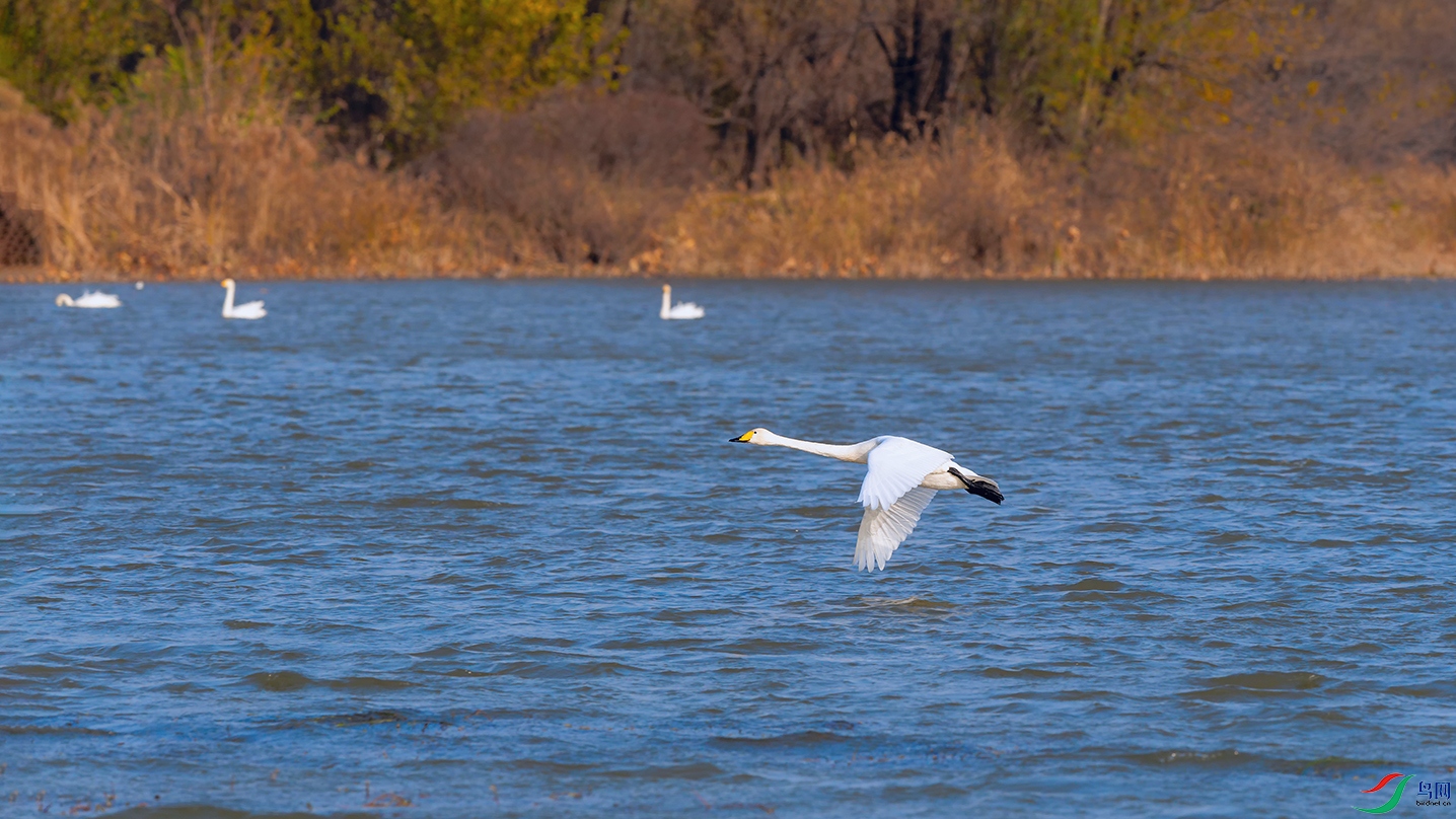 DSC_4845_DxOa.jpg
