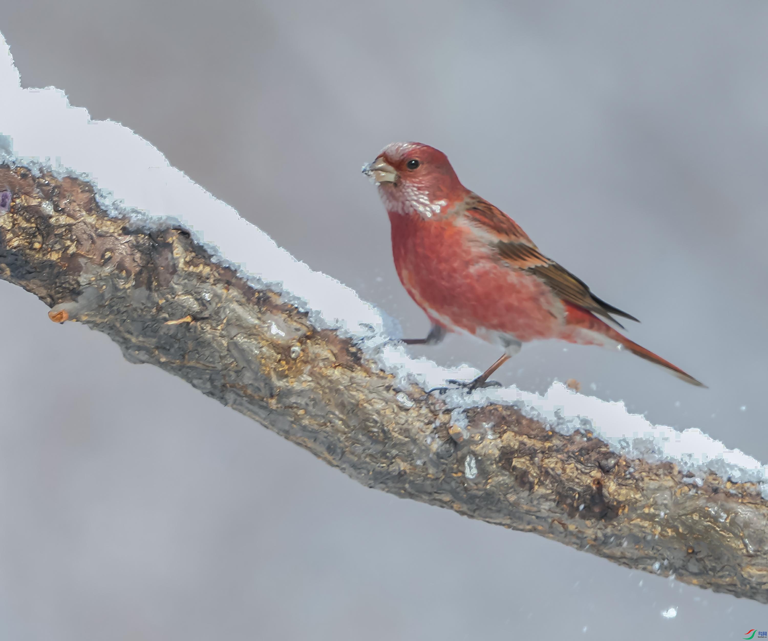 DSC_9511--����ȸ.jpg
