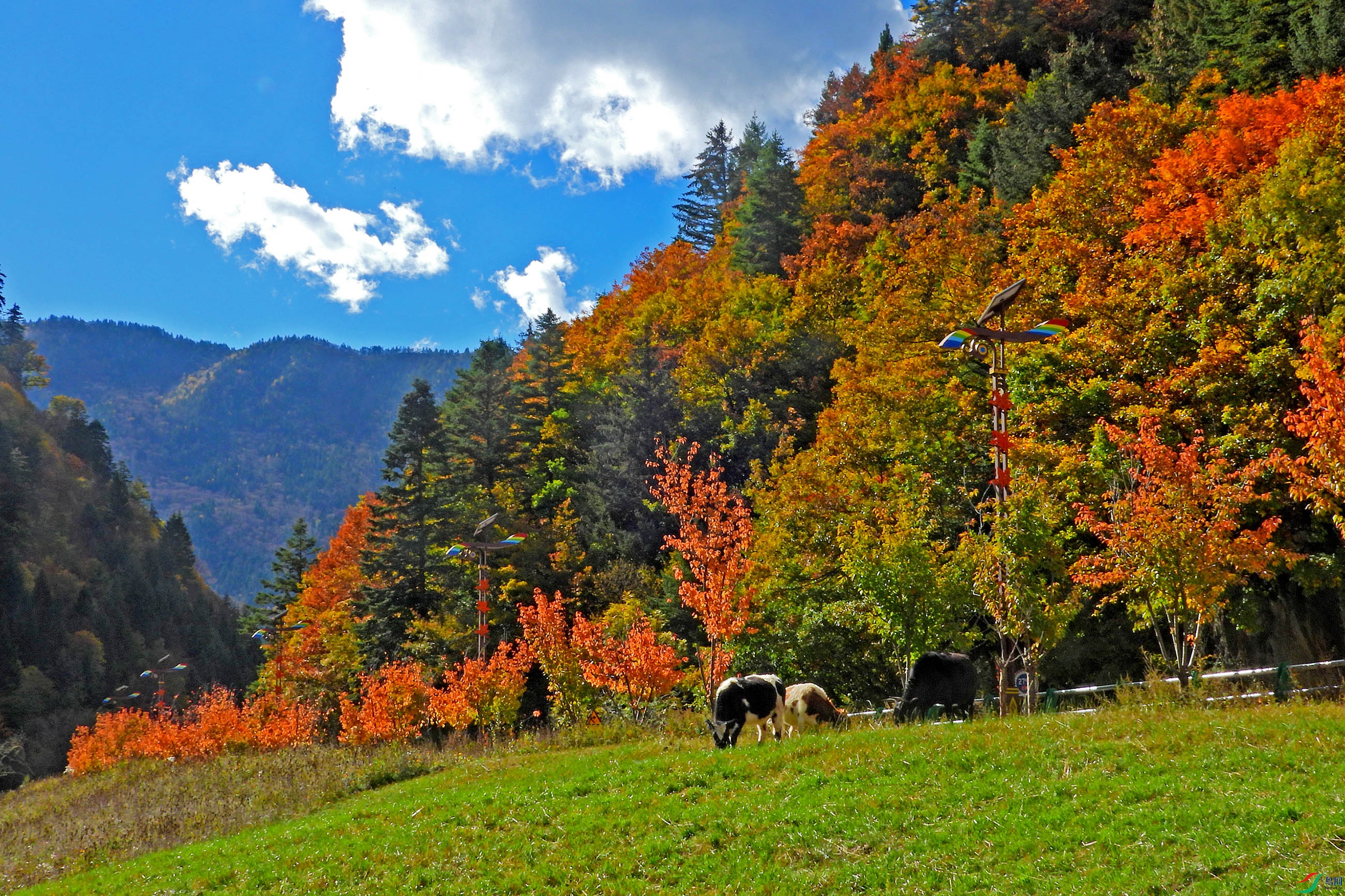 DSCN4184.JPG