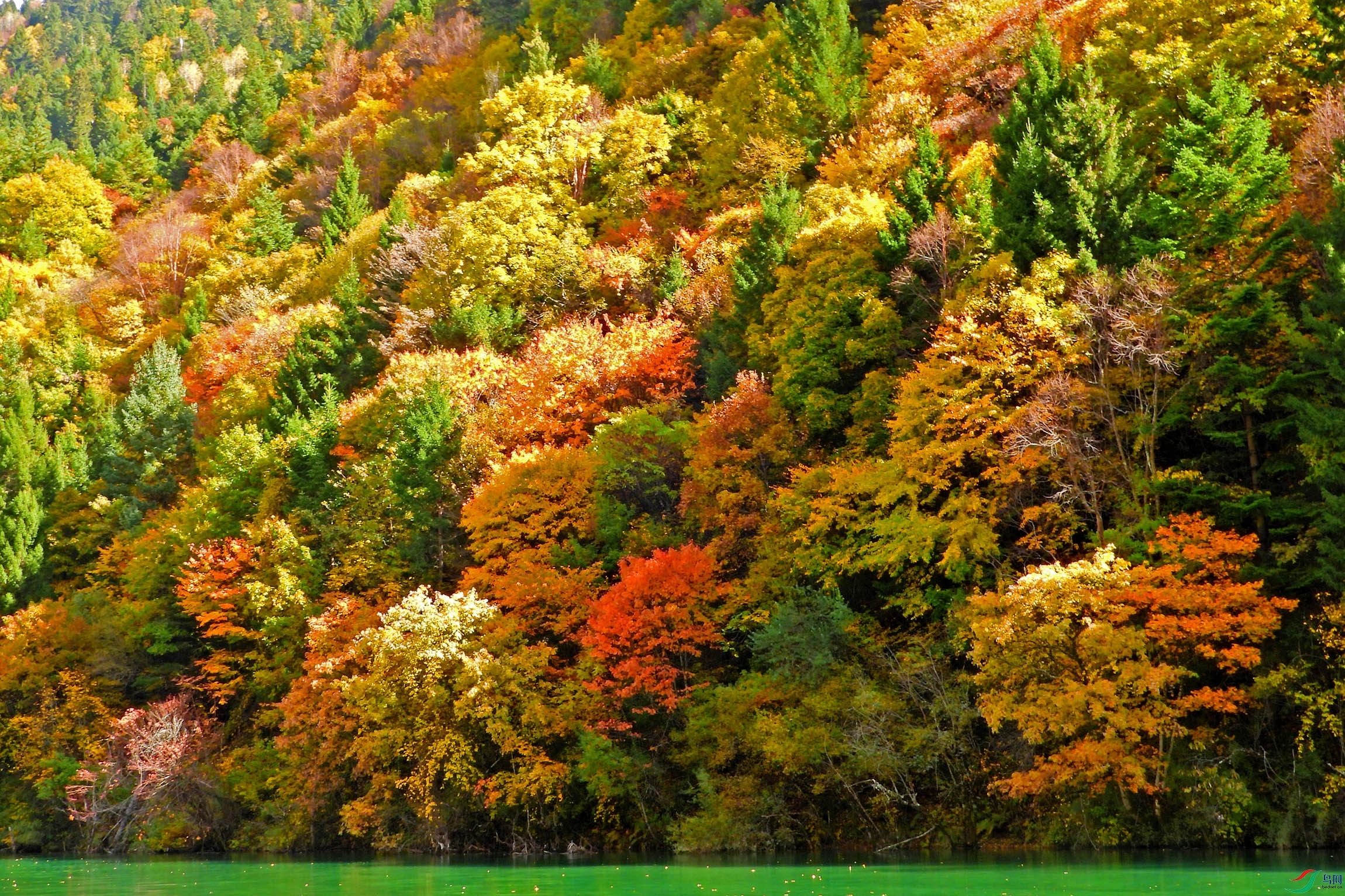 DSCN4199.JPG