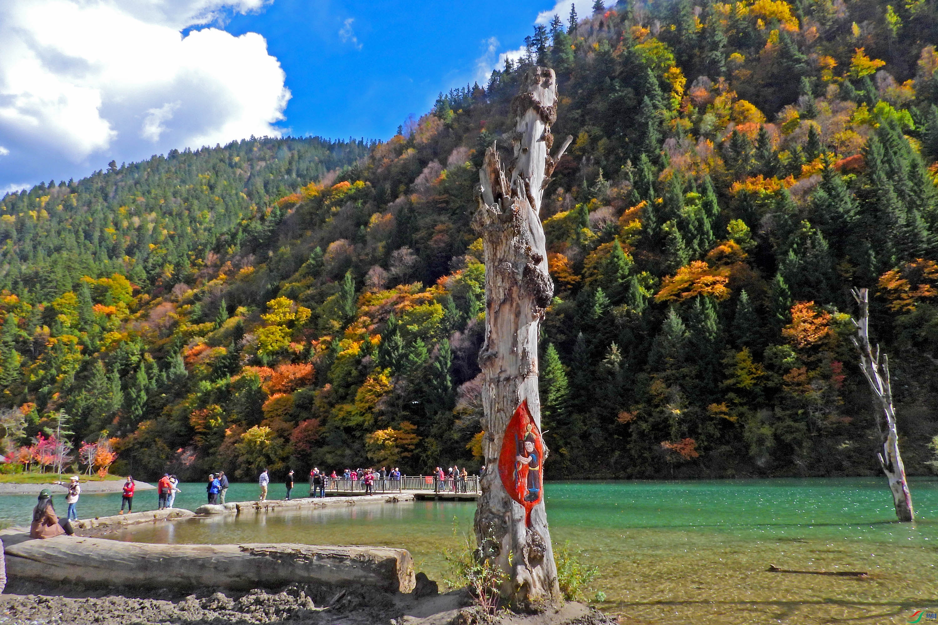 DSCN4169.JPG