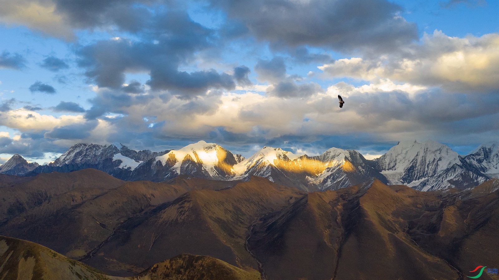 DJI_0110_����.jpg