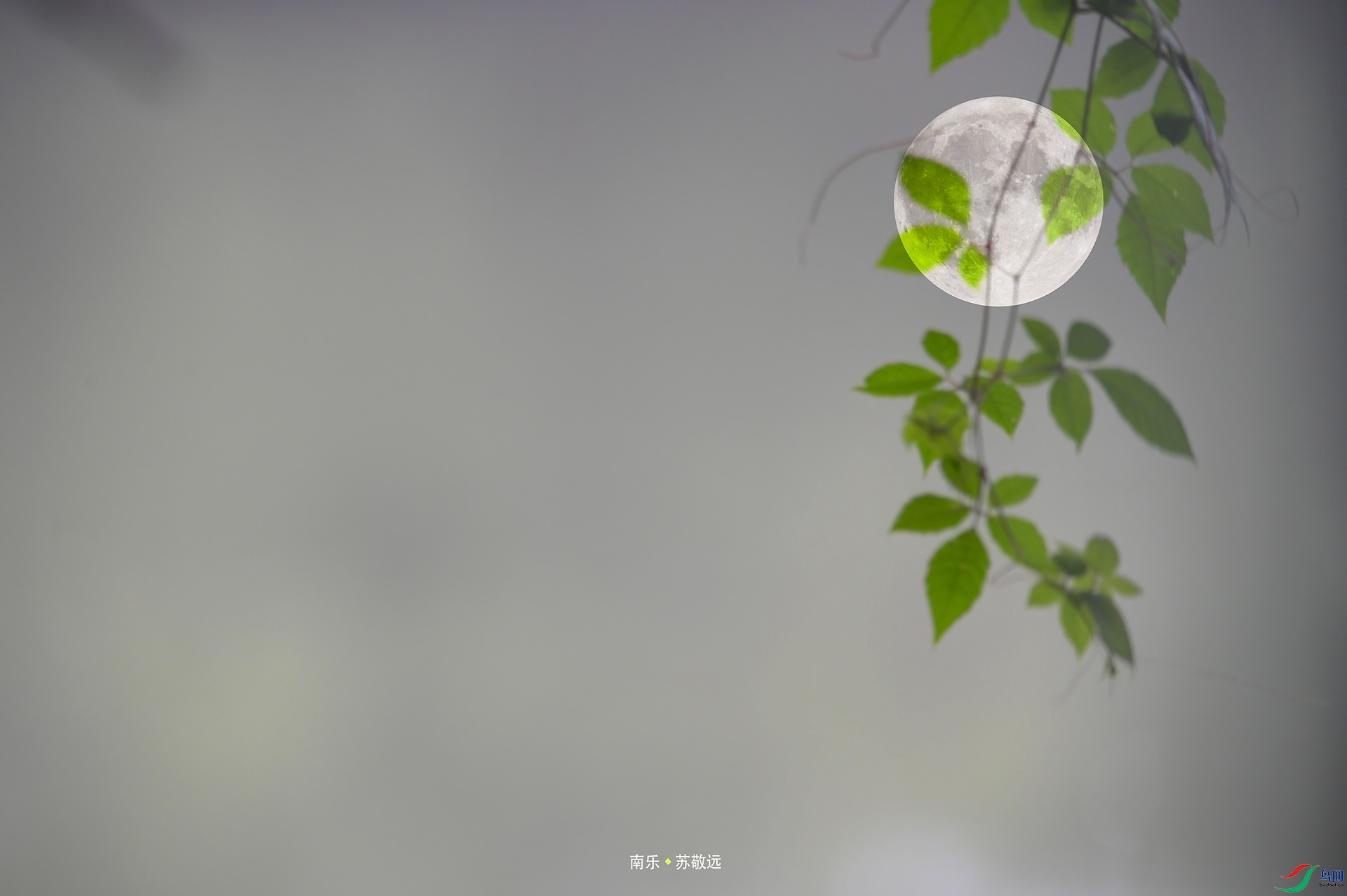 _AAA5890 ������С��.jpg