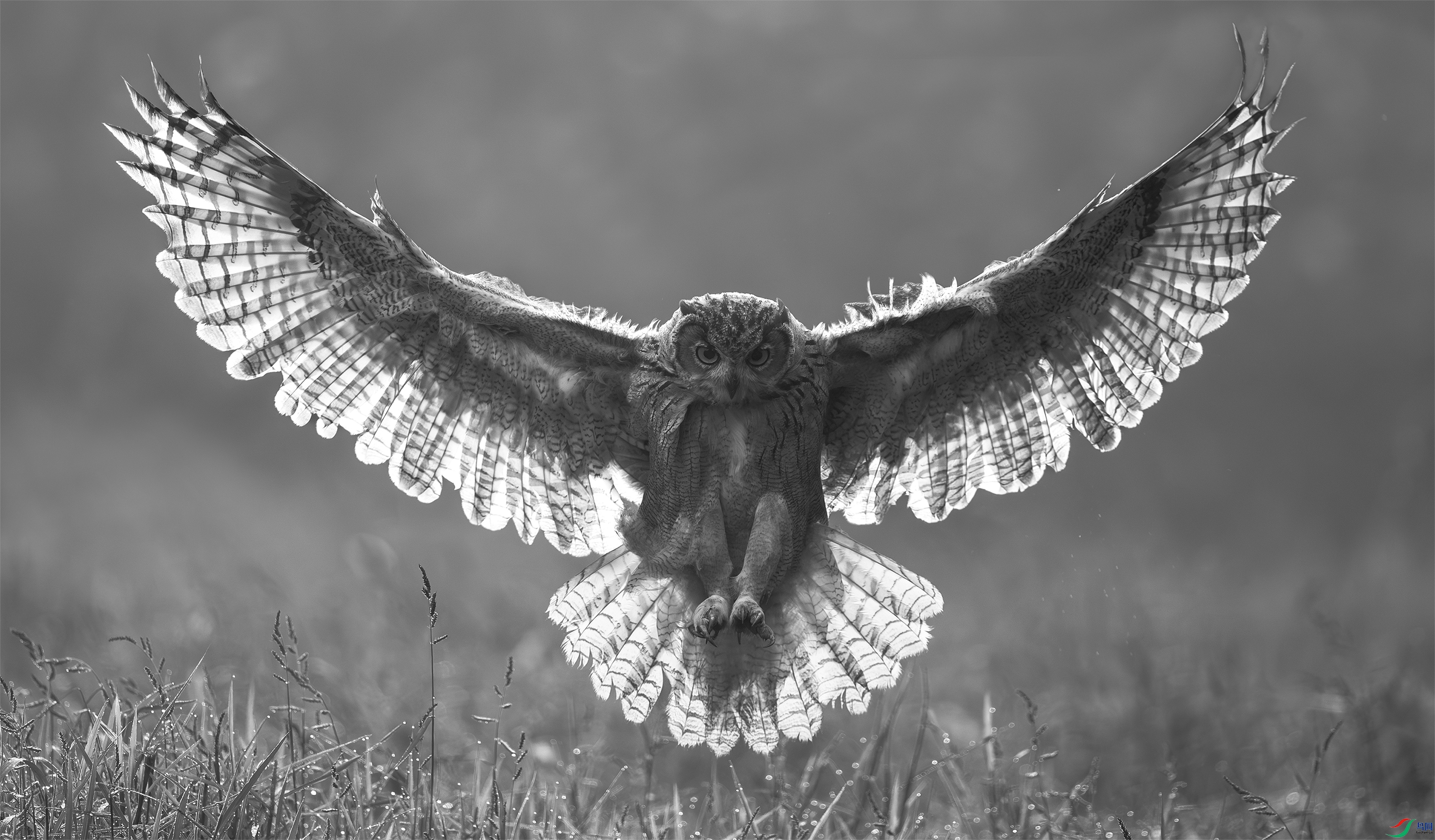 landing.jpg