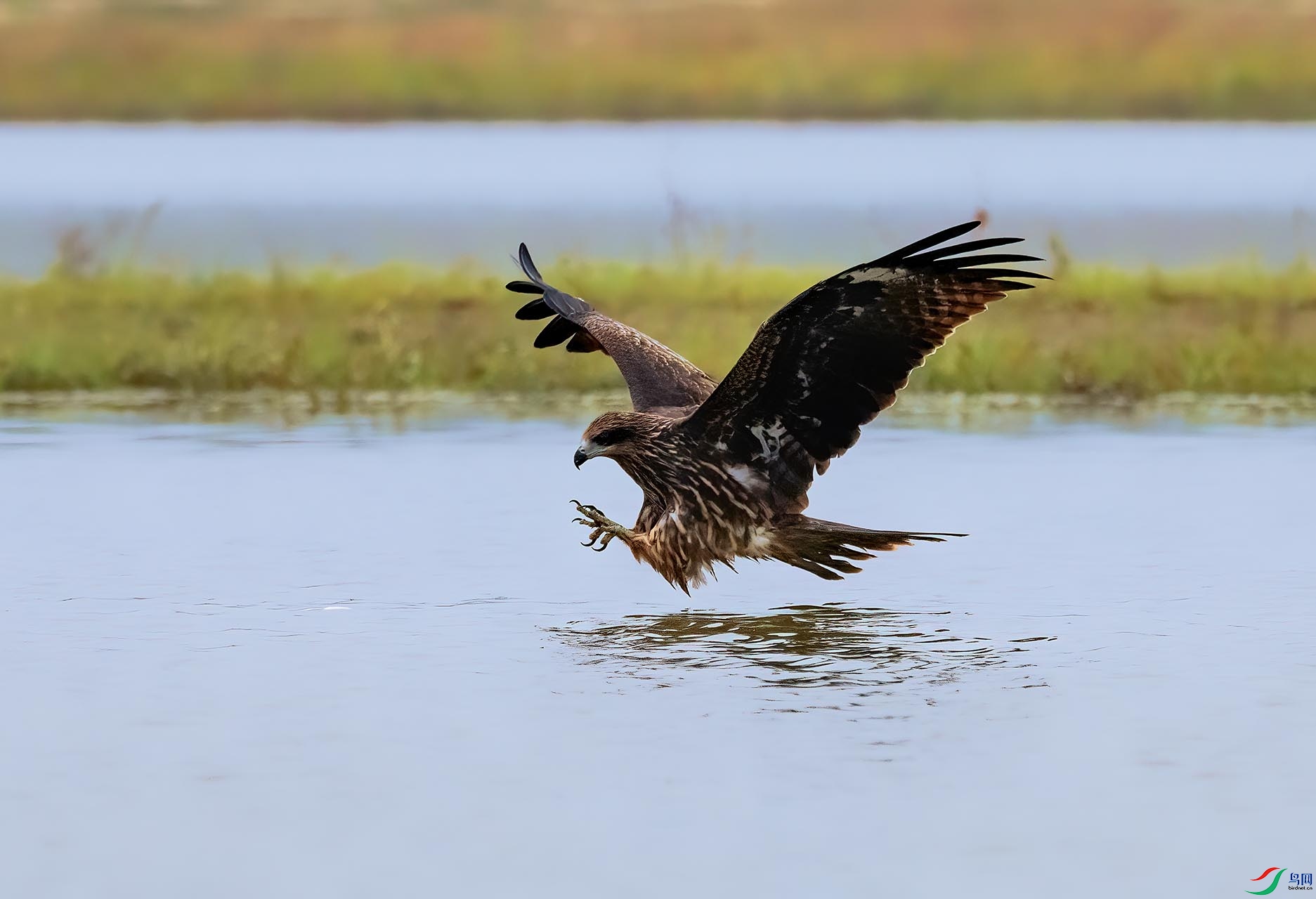 ����Ŀ��