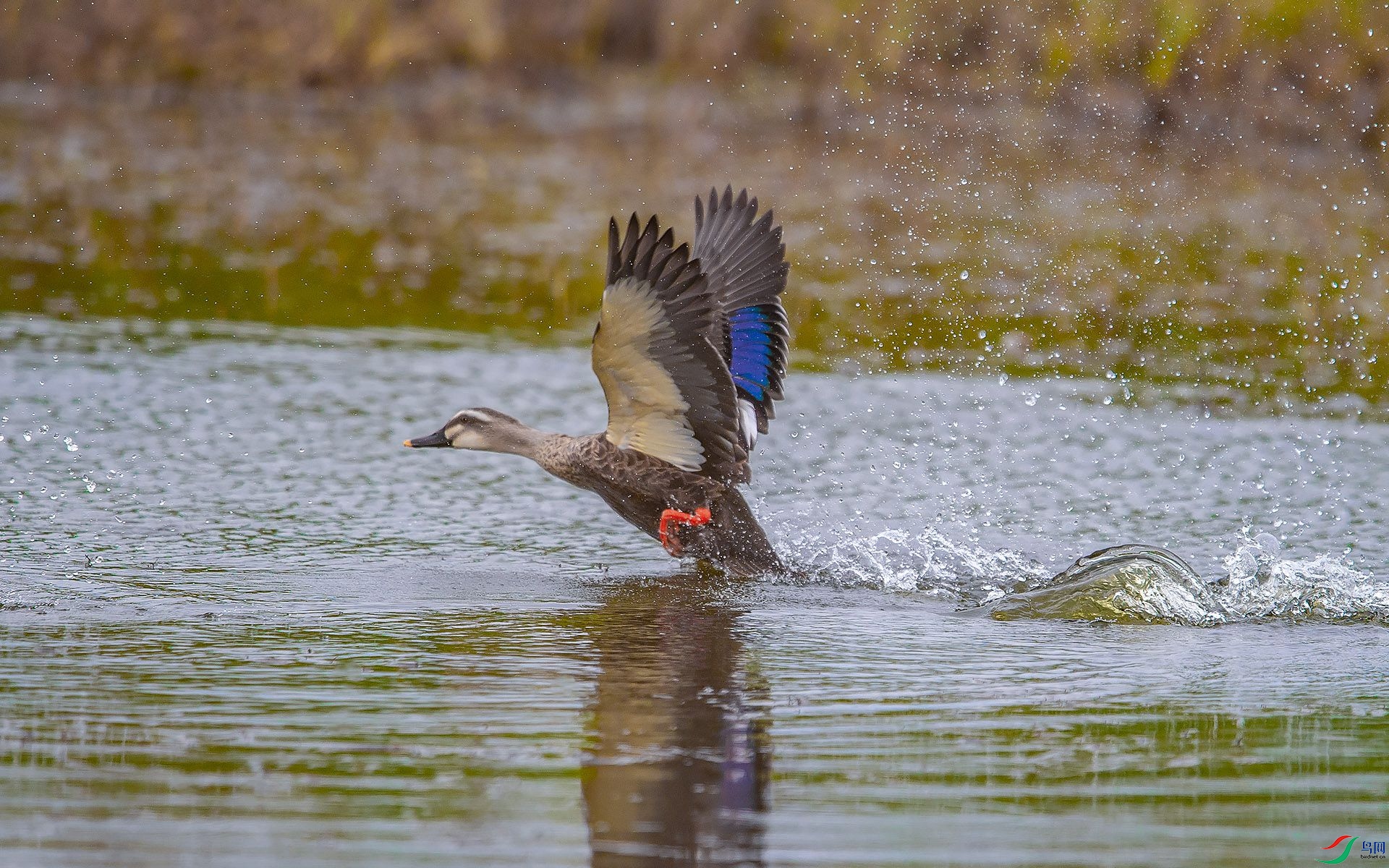DSC_3406.jpg