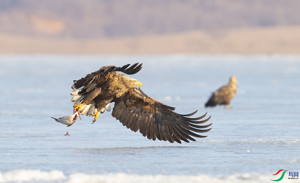 ��β���� (3).jpg