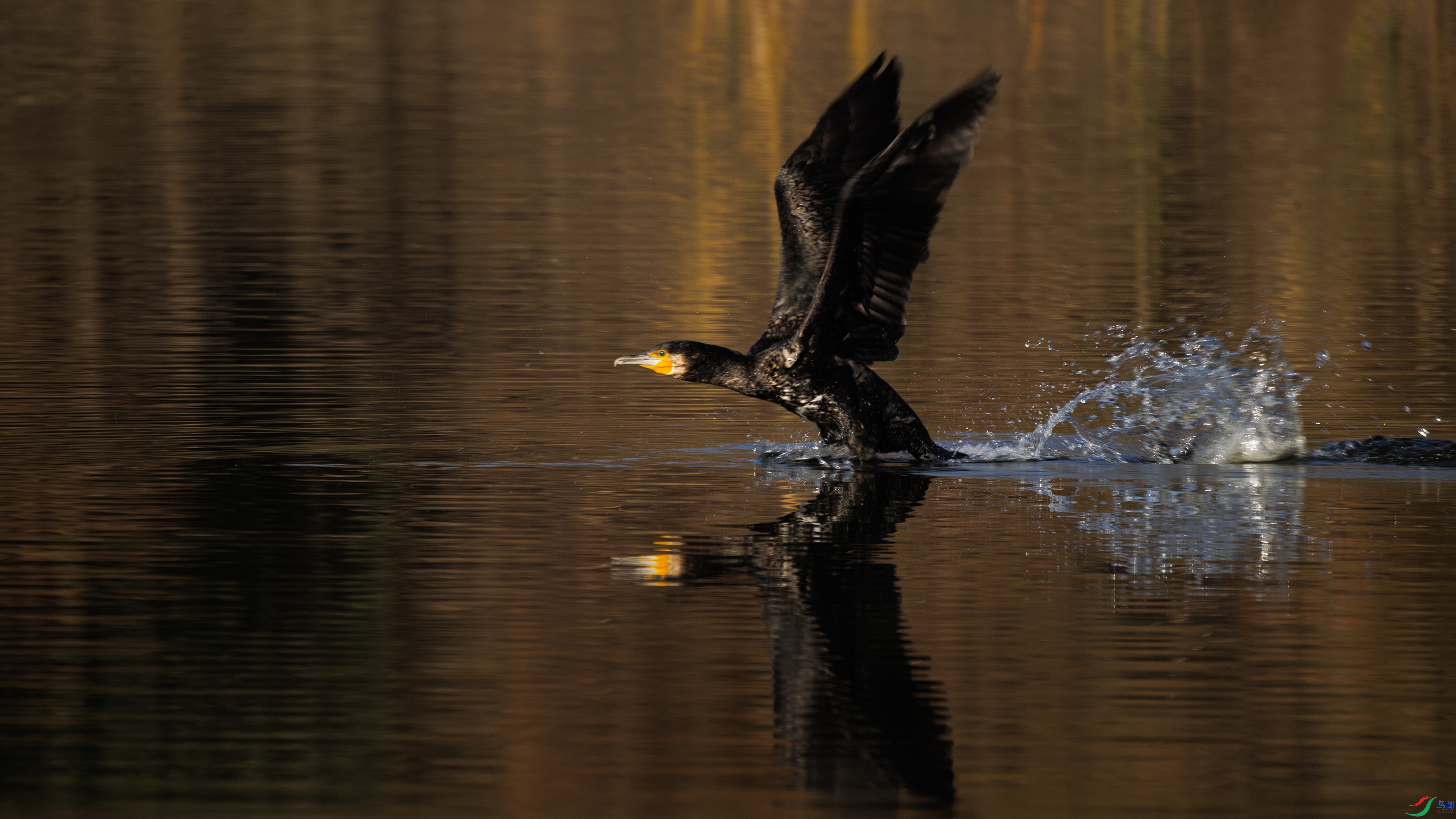 7X5A5345 ����000.jpg