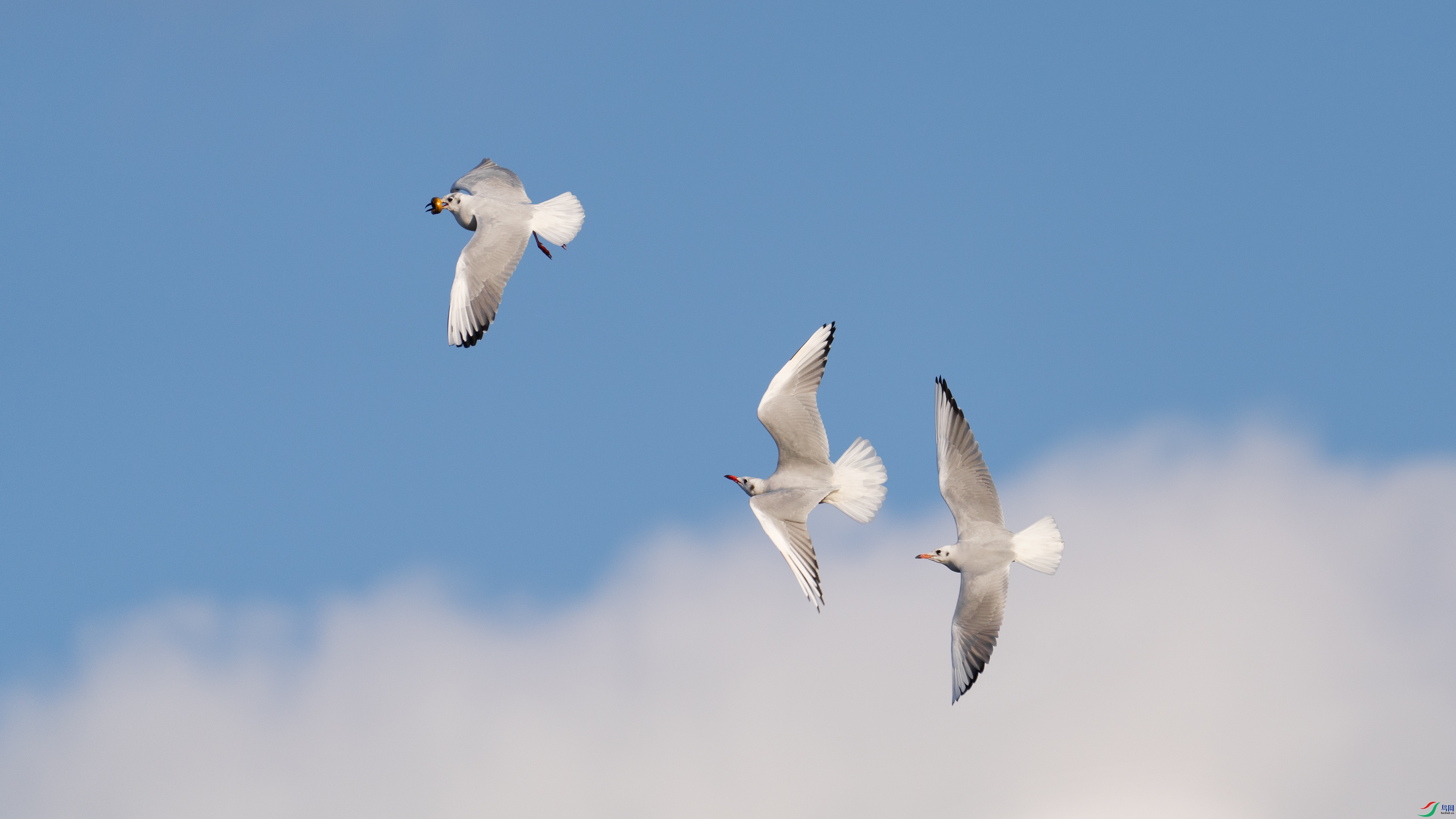 DSC05782-2 ����.jpg