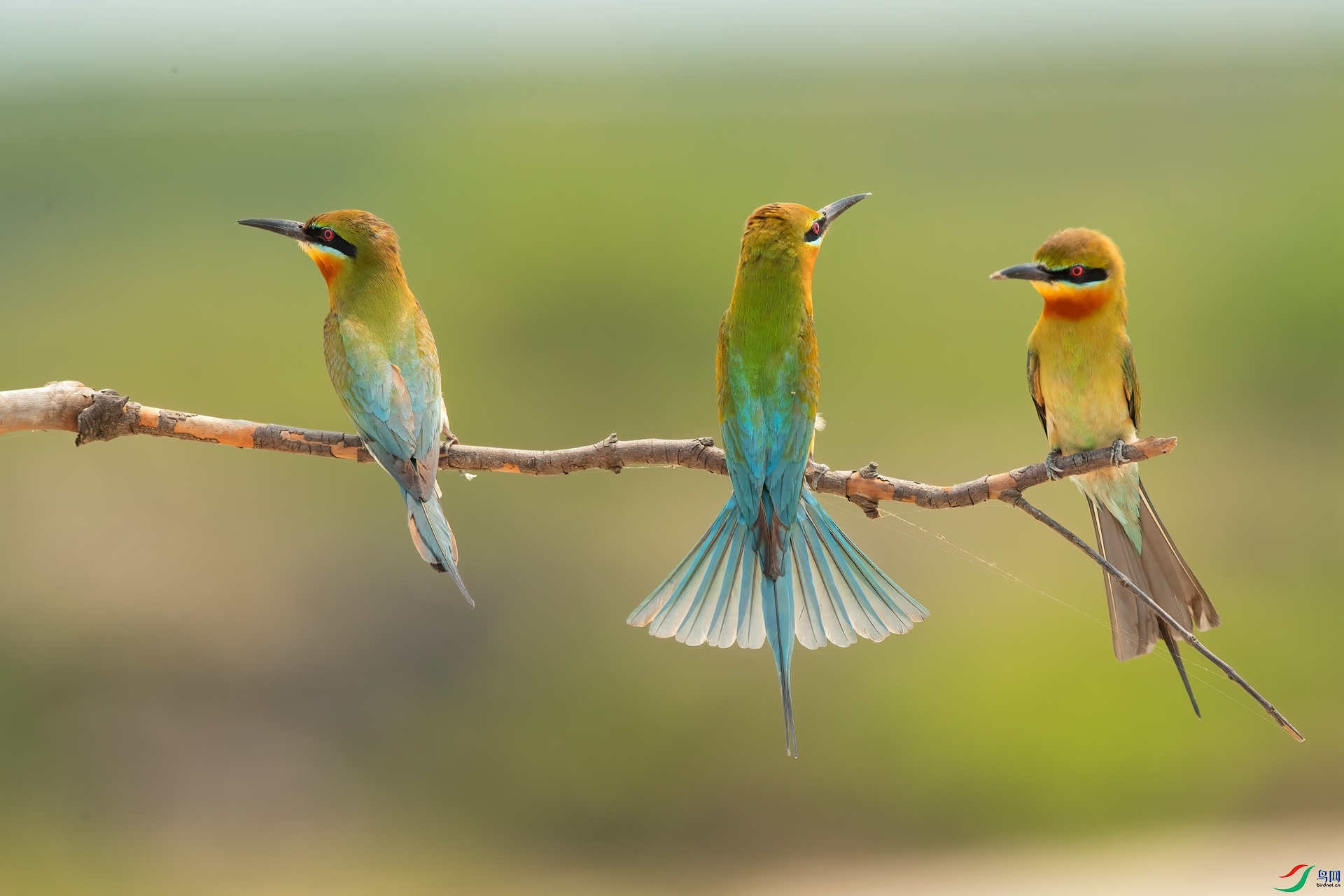 B86I5608 _����.jpg